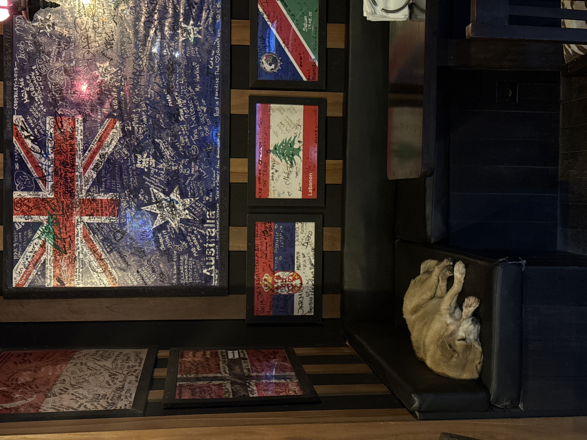 The image depicts an interior wall in what appears to be a bar or restaurant in Ubud District, Indonesia. The wall is decorated with various framed flags and pictures. The largest frame contains a flag of Australia covered in signatures and messages. Other framed flags include Lebanon, Serbia, and Namibia. Below these are framed prints, also covered in signatures. A dark-colored bench seat runs along the wall. On the bench, a light brown dog is asleep in a curled-up position. The area is dimly lit, with the light source coming from above and behind the camera.