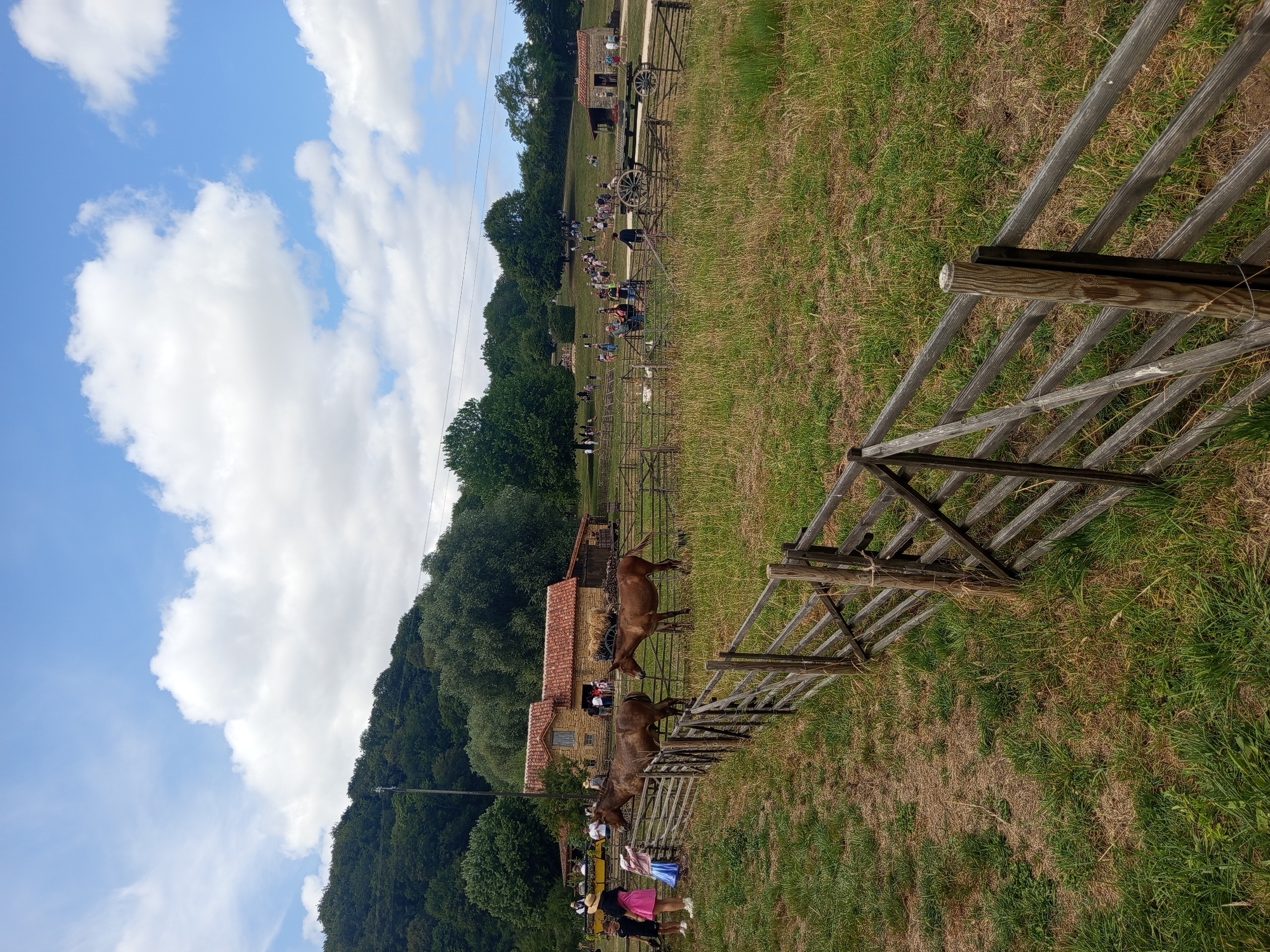 This is a medium-shot, eye-level photograph taken on a sunny day in Azannes-et-Soumazannes, France. The scene depicts a rural outdoor setting with a focus on a wooden fence in the foreground and a rustic building and horses in the midground.
The foreground features a weathered wooden fence, constructed with horizontal planks and vertical posts, stretching diagonally across the frame. The grass in this area is a mix of green and dry, with some patches of bare earth visible.
In the midground, two brown horses are present within a fenced enclosure. To the right of the horses is a stone building with a red tiled roof, resembling a barn or stable. There are people visible near the building and further into the background. Some people are standing by the building, while others are scattered across the grassy hills behind it. A wooden cart with large wheels is parked near the building.
The background shows a dense forest covering a sloping hill, with a bright blue sky dotted with white, fluffy clouds above. The overall impression is of a historical reenactment or a rural heritage site. The location is identified as Azannes-et-Soumazannes, France.
