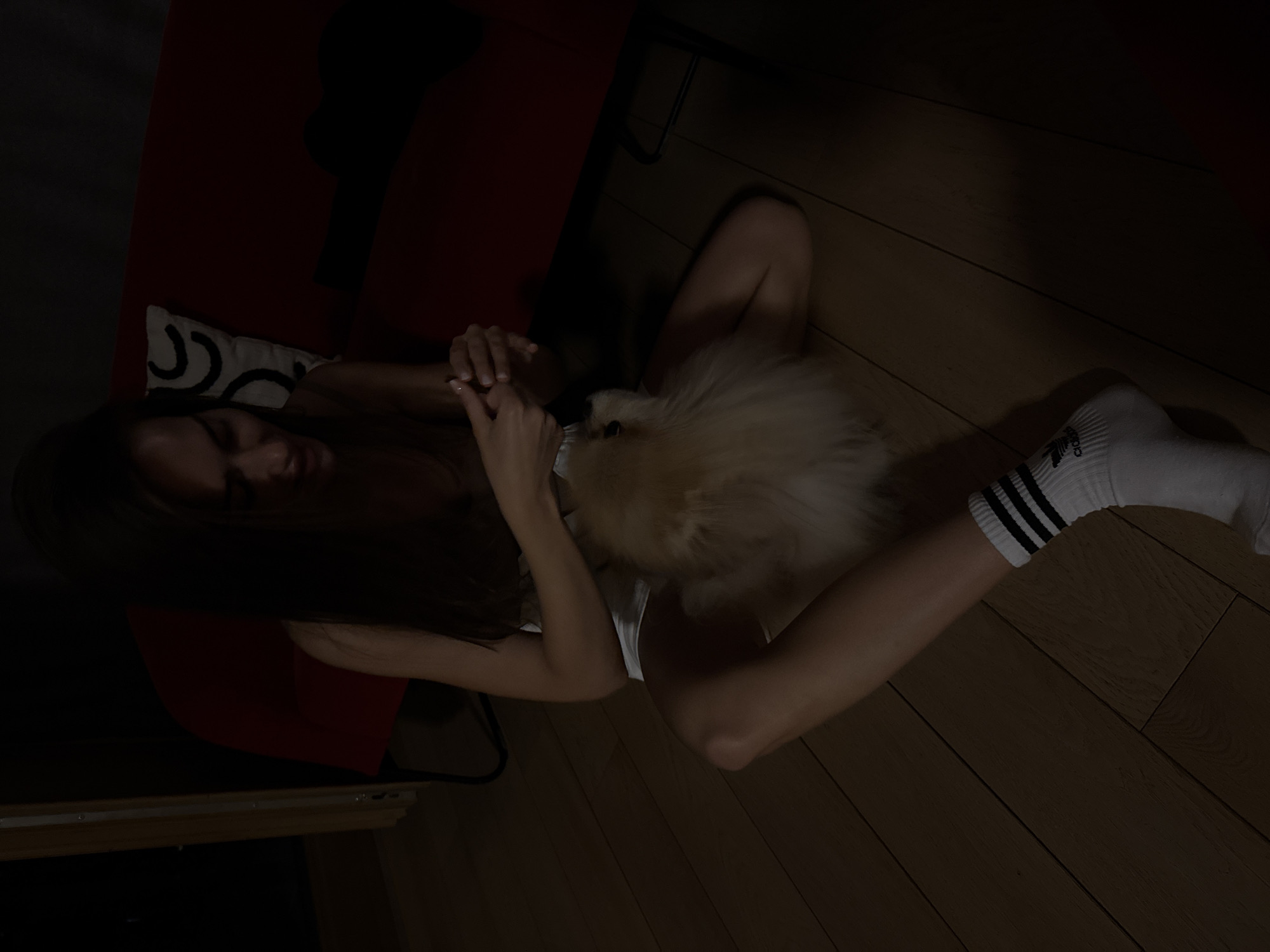A top-down shot shows a dark indoor setting, focusing on a woman and a dog. The woman is reclining on what appears to be a red armchair with a patterned cushion. She is wearing a white top and has long brown hair that is hanging down. She is holding the small, fluffy, cream-colored dog. She is on a wooden floor. She is wearing a white sock with three black stripes around the ankle. The location appears to be a domestic setting.