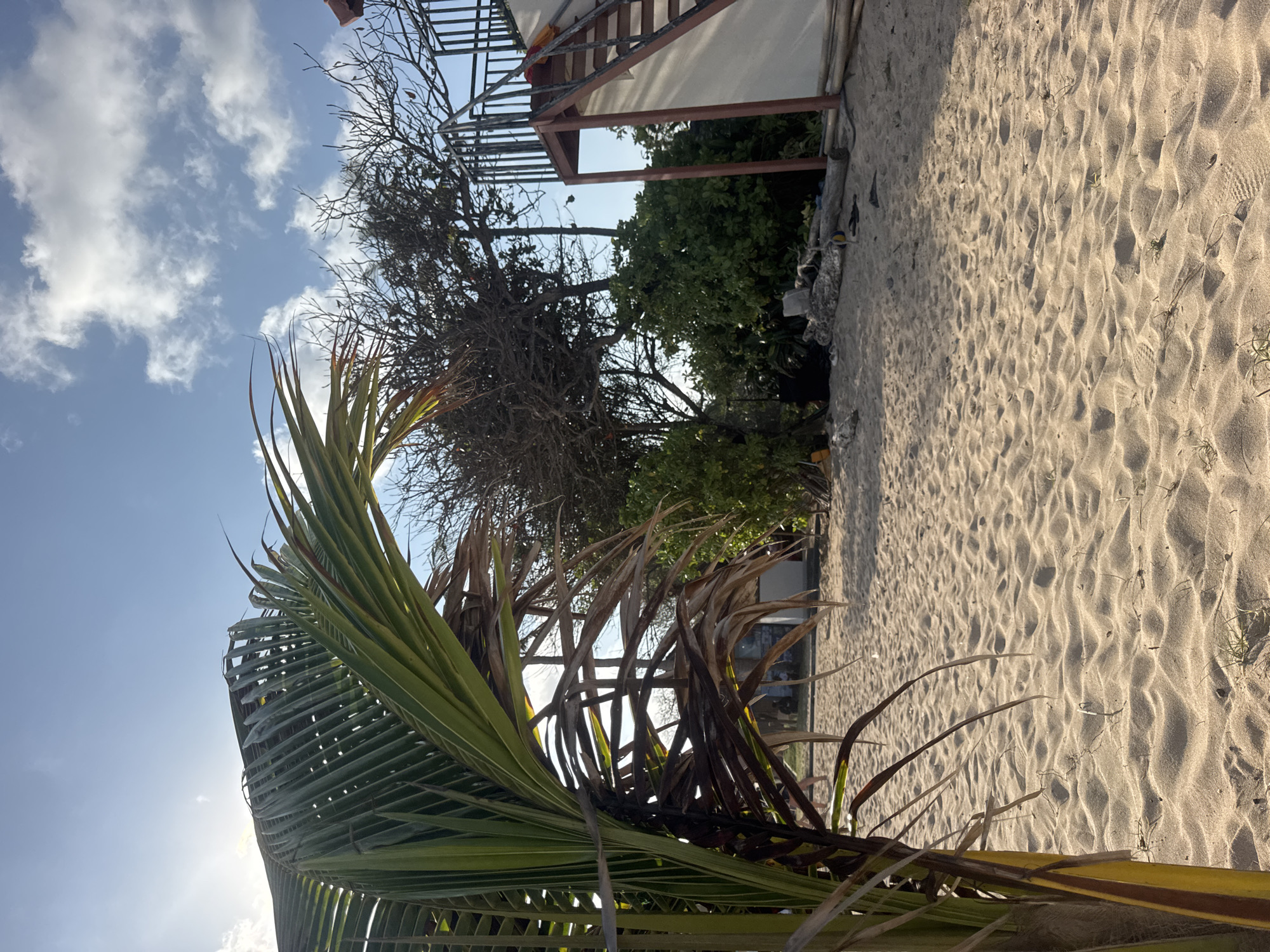 The image depicts a sandy beach with a palm frond in the foreground. Behind the palm frond, there are trees and a white structure with a staircase leading up to it. The sky is blue with scattered clouds. The scene appears to be located in Kuta Selatan, Indonesia, a region known for its beaches and tropical environment. There are no people clearly visible in the image, though some faint figures can be seen in the distance on the beach. The environment suggests a relaxed, outdoor setting, possibly a resort or a public beach area.