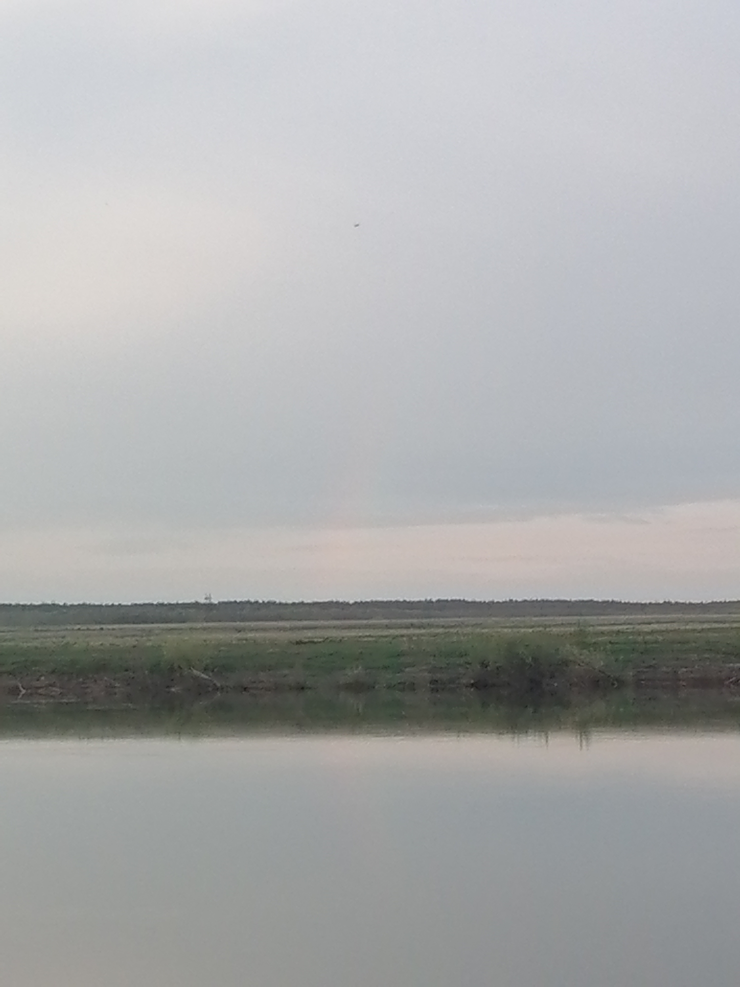The image captures a tranquil, expansive landscape under an overcast sky. In the foreground, a calm body of water, possibly a river or a large lake, occupies the lower third of the frame. Its smooth surface reflects the muted tones of the sky and the distant land, suggesting still conditions.
Immediately behind the water, a low strip of land with green and brown vegetation forms the bank. Beyond this bank, vast, flat fields stretch into the middle ground, primarily green with some earthy patches. A dense, dark line of trees or distant vegetation marks the horizon, separating the land from the sky.
The sky is a uniform, light gray, indicating overcast weather. A very small, dark speck is visible in the upper left portion of the sky, likely a distant bird or aircraft. On the distant horizon, slightly to the left of center, a faint, light-colored, tall, and slender structure, possibly a tower or a distant windmill, emerges above the tree line.
The time of day appears to be daytime, though the lack of direct sunlight makes it difficult to specify, possibly a cloudy day or late afternoon/early morning. The weather is calm and overcast. The scene evokes a sense of peacefulness and vastness, characteristic of open plains or coastal areas. No people or specific activities are prominently featured, and there is no visible text.