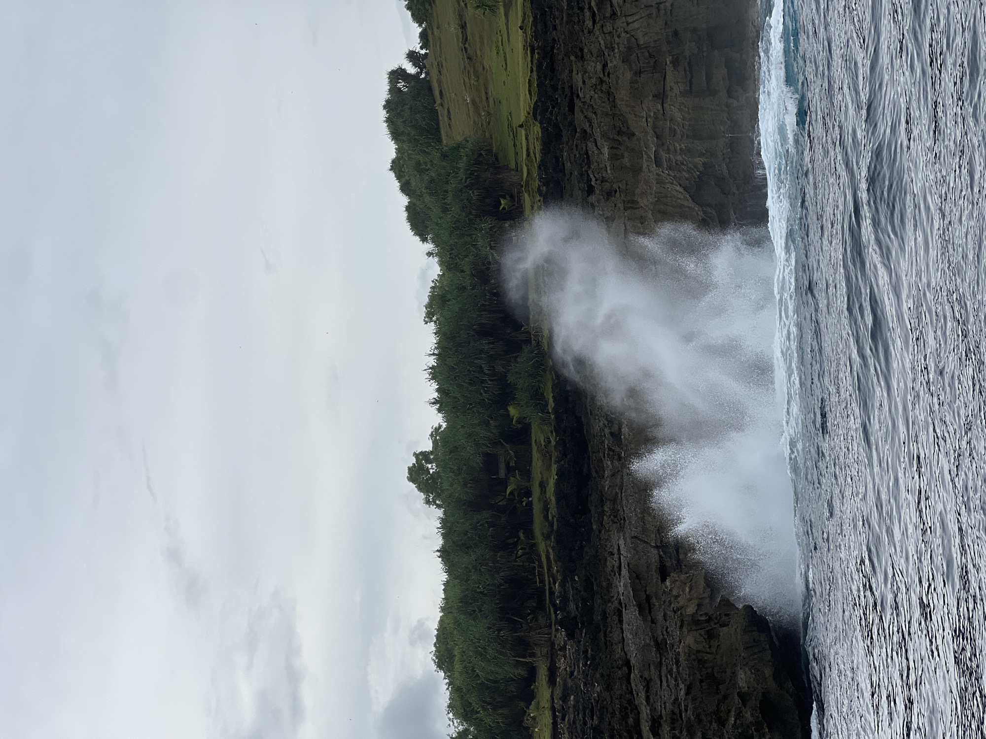 The image depicts a rugged coastal cliff face in Nusa Penida, Indonesia. The cliff is covered in dense vegetation, including green trees and grass. At the base of the cliff, waves crash against the rocks, creating a plume of white water spray. The sea is rough, with visible wave patterns. The sky is overcast, with a grey tone. The overall environment appears to be natural and coastal.