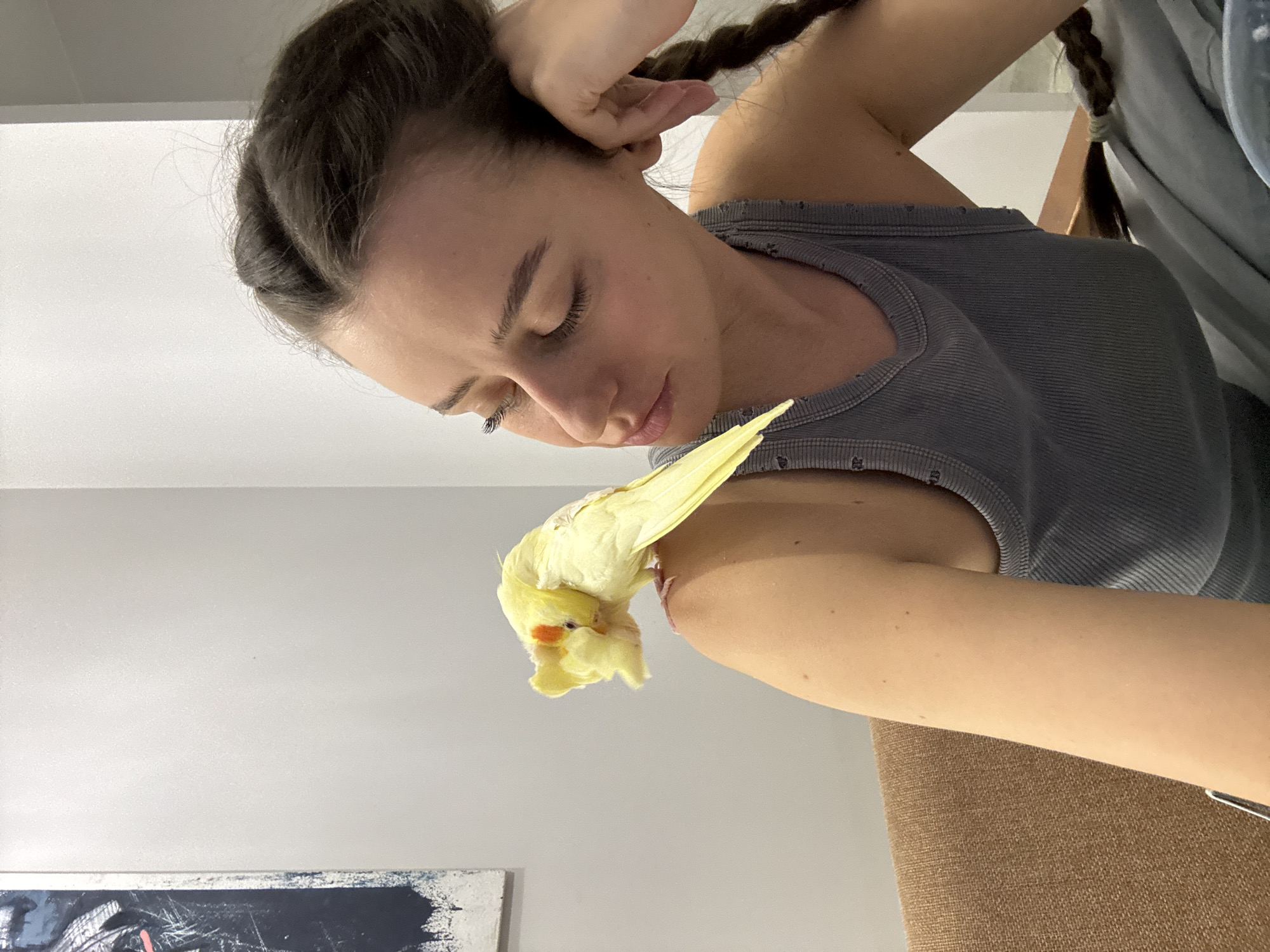 A woman gently interacts with a yellow cockatiel in an indoor setting, likely a home in Krasnoyarsk, Russia. The image is oriented vertically, showing the woman's head and upper torso. She has dark hair styled in braids, with one hand holding a braid near her head. Her gaze is directed downwards, suggesting a focused and affectionate interaction with the bird perched on her right arm. She is wearing a grey, ribbed tank top.
The cockatiel, predominantly yellow with distinct orange cheek patches, is positioned on her arm, its head pointed downwards towards her, seemingly preening or resting. The bird's crest is slightly raised.
The background is simple, consisting mainly of a plain white wall, suggesting a clean and bright interior space. In the bottom left corner, a portion of a framed artwork or painting with dark, abstract elements is visible. Part of a brown, textured surface, possibly a chair or furniture, is seen in the lower right. The lighting is soft and even, indicating a peaceful daytime atmosphere. There is no visible text in the image.