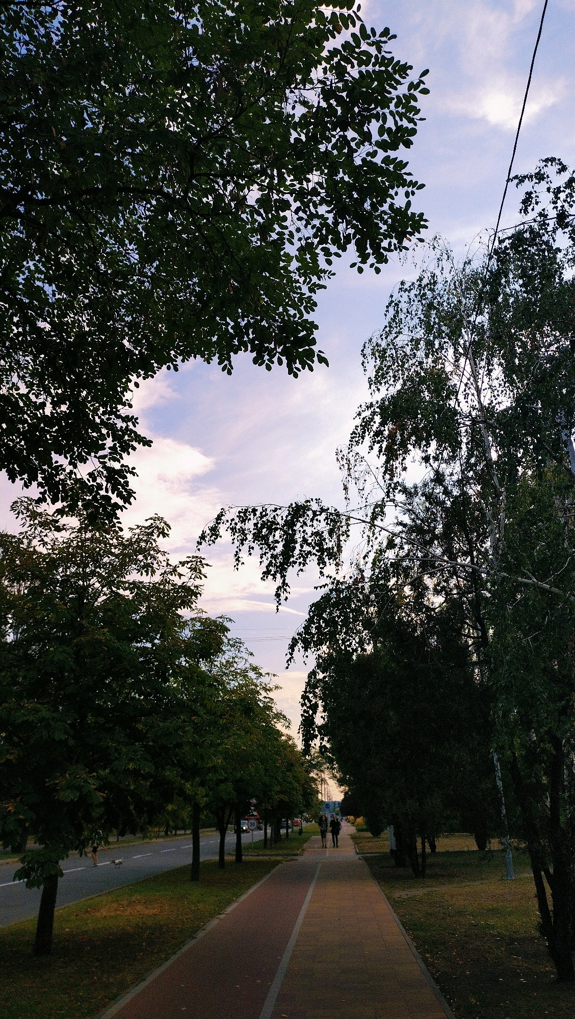 This is a photograph taken in Horishni Plavni, Ukraine, looking down a paved walkway lined with trees on the right and a road with sparse traffic on the left. The sky is partly cloudy with hues of purple and pale blue, indicating either dawn or dusk.
In the foreground, the walkway is a reddish-brown color with a white line marking its edge. To the right of the walkway, there is a grassy area with several trees, some with slender, light-colored trunks and drooping branches, others with denser foliage.
To the left of the walkway, a road is visible with cars in the distance. Several trees with dark green leaves are planted along the roadside. A few people are walking away from the camera on the walkway in the mid-ground. One individual is walking a dog on the left side of the road. Overhead, telephone wires are visible, and tree branches with dark leaves frame the upper portion of the image. The overall impression is a peaceful, urban landscape with elements of nature.