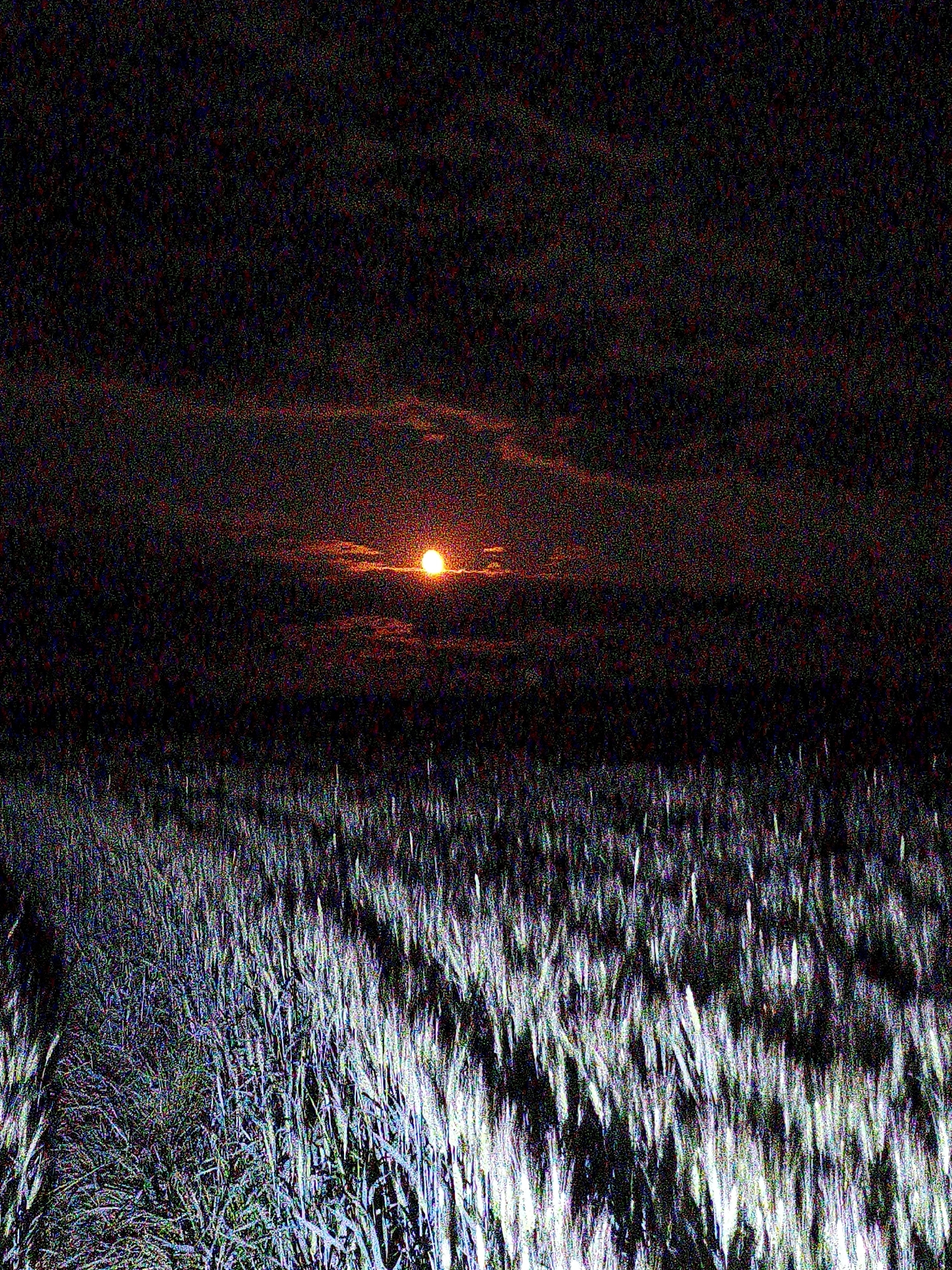 The image displays a rural landscape, likely near Ustyvytsia, Ukraine, at either dawn or dusk. The lower half of the frame is dominated by a vast field of grain, possibly wheat or rye, with individual stalks appearing illuminated and streaked with prominent blue, green, and white digital noise. The upper half features a dark, heavily pixelated sky, densely covered with red, green, and blue noise, suggesting a low-light capture with high ISO. A brilliant, intensely orange celestial body, either the sun or moon, is positioned low on the horizon, partially obscured by dark clouds that extend horizontally across the sky. The scene is devoid of any human figures or activity. The pervasive digital noise gives the image a raw, grainy texture and contributes to a dramatic and somewhat somber atmosphere. There is no visible text.