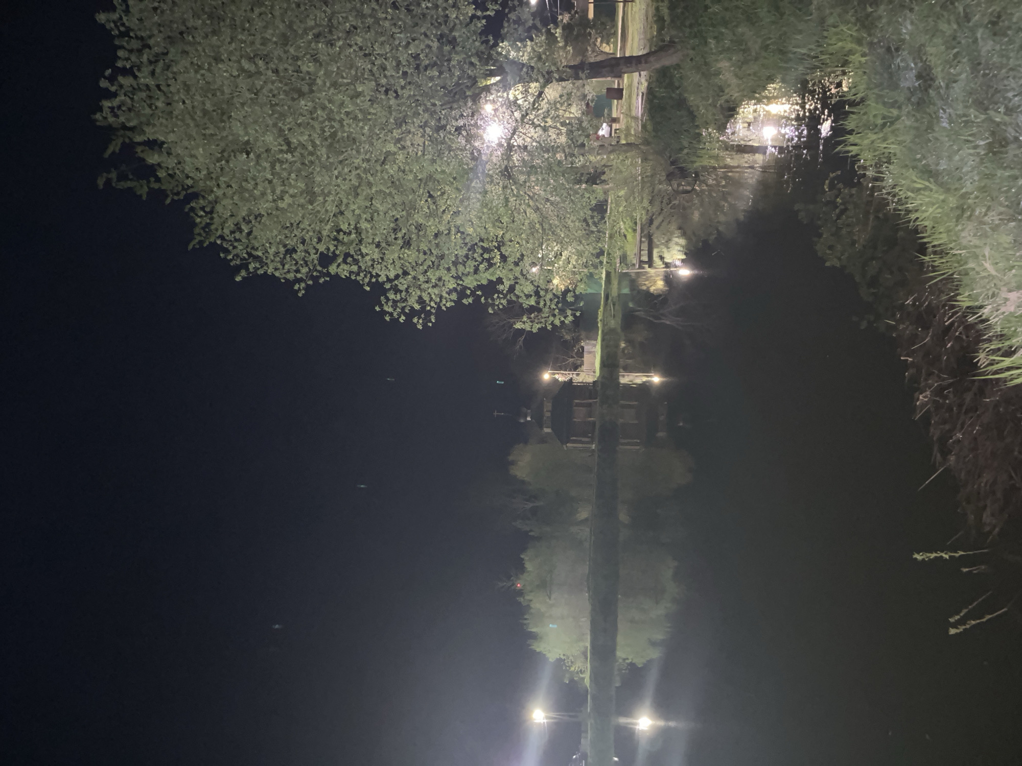 The image depicts a night scene in Strubkovo, Russia, reflected in a body of water, presumably a lake or river. A line of trees and vegetation runs along the right edge of the image. Streetlights are visible along the water's edge, casting bright reflections. A building is seen further away, also mirrored in the water. The left side of the image is primarily dark, indicating the night sky.