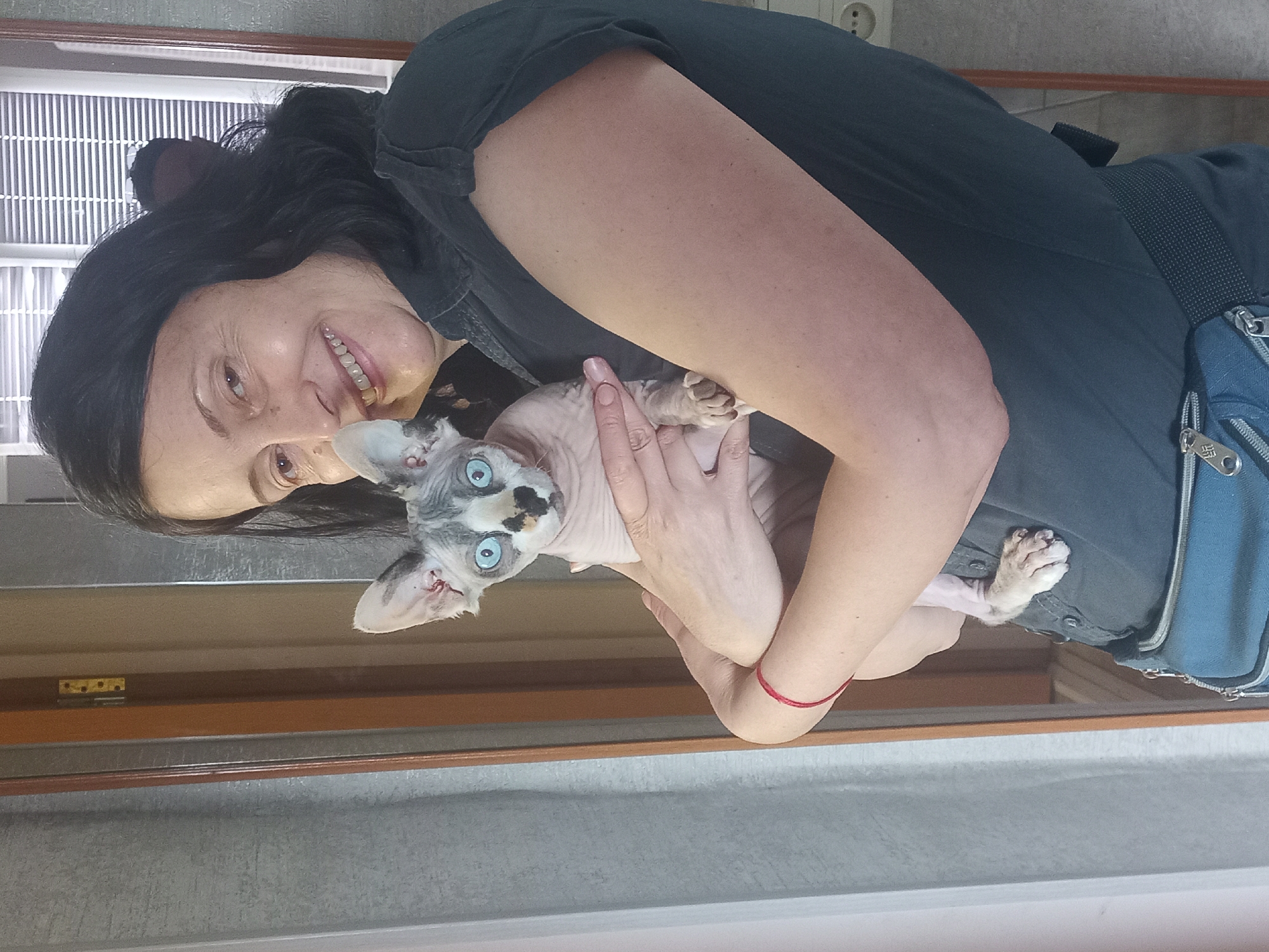 A woman with dark hair is holding a hairless cat with light blue eyes. The woman is wearing a dark gray shirt and a blue crossbody bag. The background includes a window with blinds and a gray wall. The location appears to be indoors.