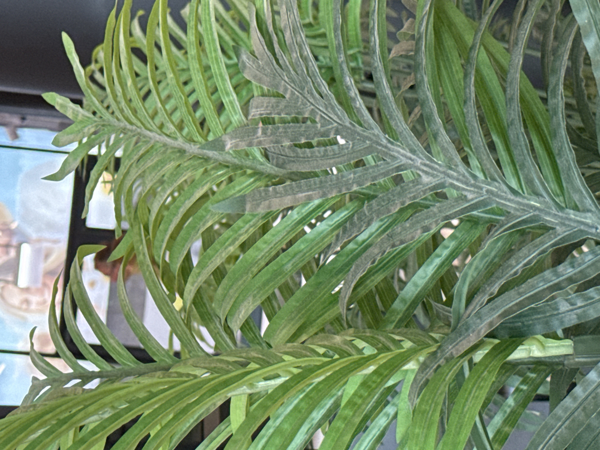 The image is a close-up, eye-level shot of two artificial palm fronds indoors. The fronds are green, with some appearing to have a slightly dusty or weathered texture, particularly the one on the right. The fronds are arranged in a dense cluster, creating a layered effect. In the background, out of focus, is a brightly lit screen displaying an image of two people. The overall environment appears to be an indoor space, possibly a commercial or public area, given the presence of the screen and the artificial plants. There is no visible indication of the city of Ob, Russia in the image itself.