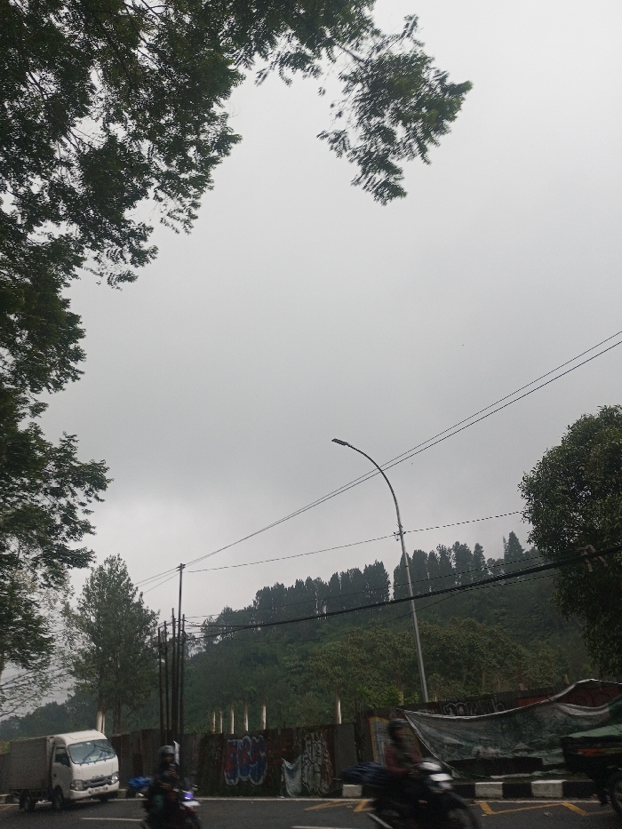 The image captures an outdoor scene dominated by an overcast sky and lush greenery, depicting a road alongside a tree-covered hillside.
The sky occupies a large portion of the upper frame, appearing uniformly light gray, indicating a heavily cloudy or overcast day, without any direct sunlight. Large, dense green tree canopies frame the top left and top right corners, with their foliage partially obscuring the sky. The leaves appear wet or dewy, adding to the muted tones.
Below the sky and tree canopies, a prominent green hillside stretches across the mid-ground. The hillside is densely covered with trees, some appearing as a continuous line of dark green, slender trees along the ridge, possibly evergreens. Below this ridge, the hillside continues down with more varied foliage.
In the lower half of the image, a paved road runs horizontally. On the left side of the road, a white box truck or small delivery truck is visible, moving or parked by the roadside. Several motorcycles are on the road; one motorcycle with a rider is clearly visible in the lower left, while another on the right is blurred due to motion, suggesting ongoing traffic.
Along the right side of the road, at the base of the hillside, there is a low wall or barrier, possibly concrete or metal, adorned with graffiti in various colors, though the specific text is largely illegible due to distance and blur. Over this wall, on the right, some draped, tarp-like fabric is visible.
A tall, curved street light pole stands on the right side of the road, its light fixture pointing upwards. Multiple dark power lines extend horizontally across the image, supported by poles that are mostly out of frame or obscured, but one pole is visible near the center.
The overall impression is that of a cool, possibly humid day in a semi-urban or rural area, with ongoing road activity against a natural, green backdrop. The dominant colors are greens, grays, and the dark tones of the infrastructure and vehicle tires.