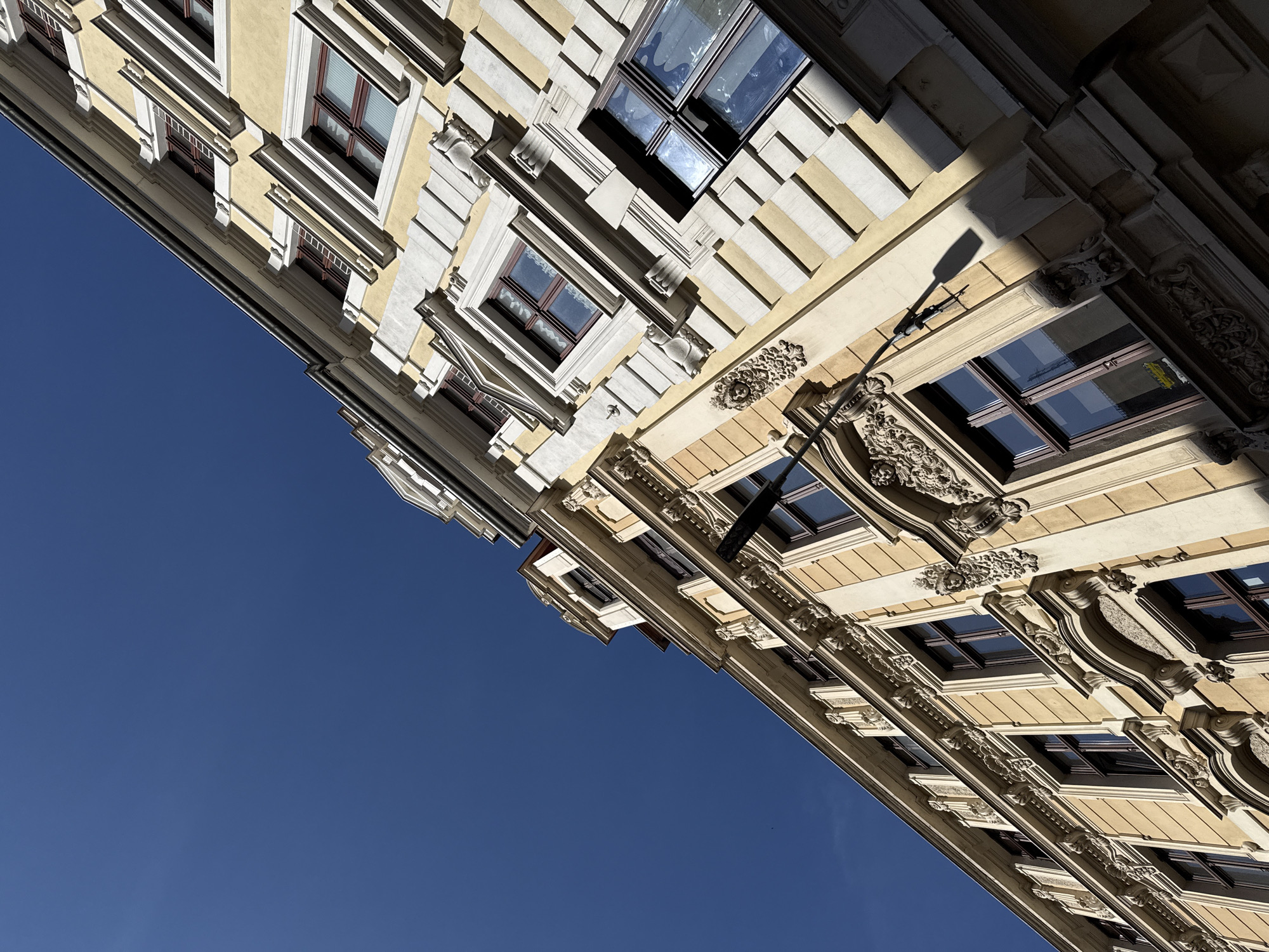 The image shows a detailed upward view of the facade of a historic building in Görlitz, Germany, under a clear blue sky. The building exhibits ornate architecture with decorative elements such as sculpted faces, floral motifs, and intricate molding. The facade is primarily a warm yellow color with contrasting cream or white trim around windows and architectural features. The windows themselves appear to have dark red or brown frames, and some reflect the sky or surrounding environment. The building's perspective is tilted, emphasizing its verticality and the sharp lines of its design. The sunlight casts strong shadows, highlighting the three-dimensional qualities of the ornamentation and the building's structure. No people are visible in the frame. The image captures a segment of the city's architectural heritage, characterized by its preserved historical buildings.