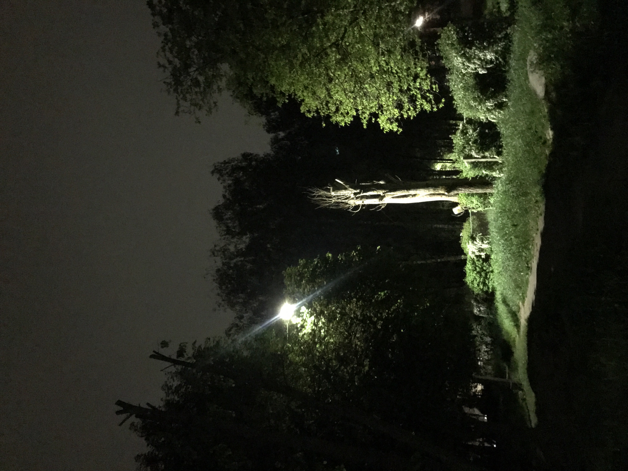 The image depicts a dark, nighttime scene likely in a park or green space in Ternopil, Ukraine, judging from the presence of streetlights and trees common to urban areas. The scene is dominated by the darkness of the night sky and the shadows cast by trees. A path or edge of a grassy area is visible on the right side of the frame, illuminated by scattered lights. The presence of a streetlight in the lower left suggests an urban setting. Another taller, dead tree is lit by a light farther in the distance. The environment is quiet and still, with no people or actions explicitly visible.