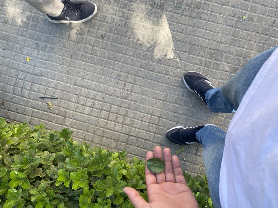 Memory