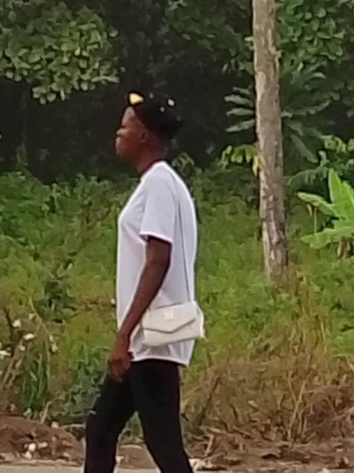 The image captures a person in profile, appearing to be walking outdoors. The individual is positioned slightly to the left of the frame's center, facing towards the left.
The person has dark skin and is wearing a black cap with two prominent, light-colored, possibly yellow or beige, ear-like adornments on top, resembling cat ears. They are dressed in a plain white short-sleeved t-shirt with a thin dark trim around the collar. A light-colored, possibly off-white or beige, cross-body bag with a flap closure is worn over their right shoulder, resting against their hip. A small, dark emblem or logo is faintly visible on the front flap of the bag. The person is also wearing black trousers or leggings. Their arms are down by their sides, and their posture suggests movement, as if taking a step forward.
The background is dominated by lush green foliage, indicating an outdoor, possibly natural or semi-rural environment. Various shades of green, from darker dense bushes to lighter, broader leaves, create a rich backdrop. A slender, light-colored tree trunk stands vertically in the mid-ground on the right side of the image. Further to the right, some larger, broader leaves, possibly from a banana plant, are visible. The ground in the foreground appears to be an unpaved area, possibly dirt or gravel, with some scattered debris.
The lighting in the image is soft and diffused, suggesting either an overcast day or early morning/late afternoon light. No specific time of day or weather conditions can be definitively determined, nor are there any visible texts or specific identifiable locations. The person's facial expression is not clearly discernible due to the angle and resolution.