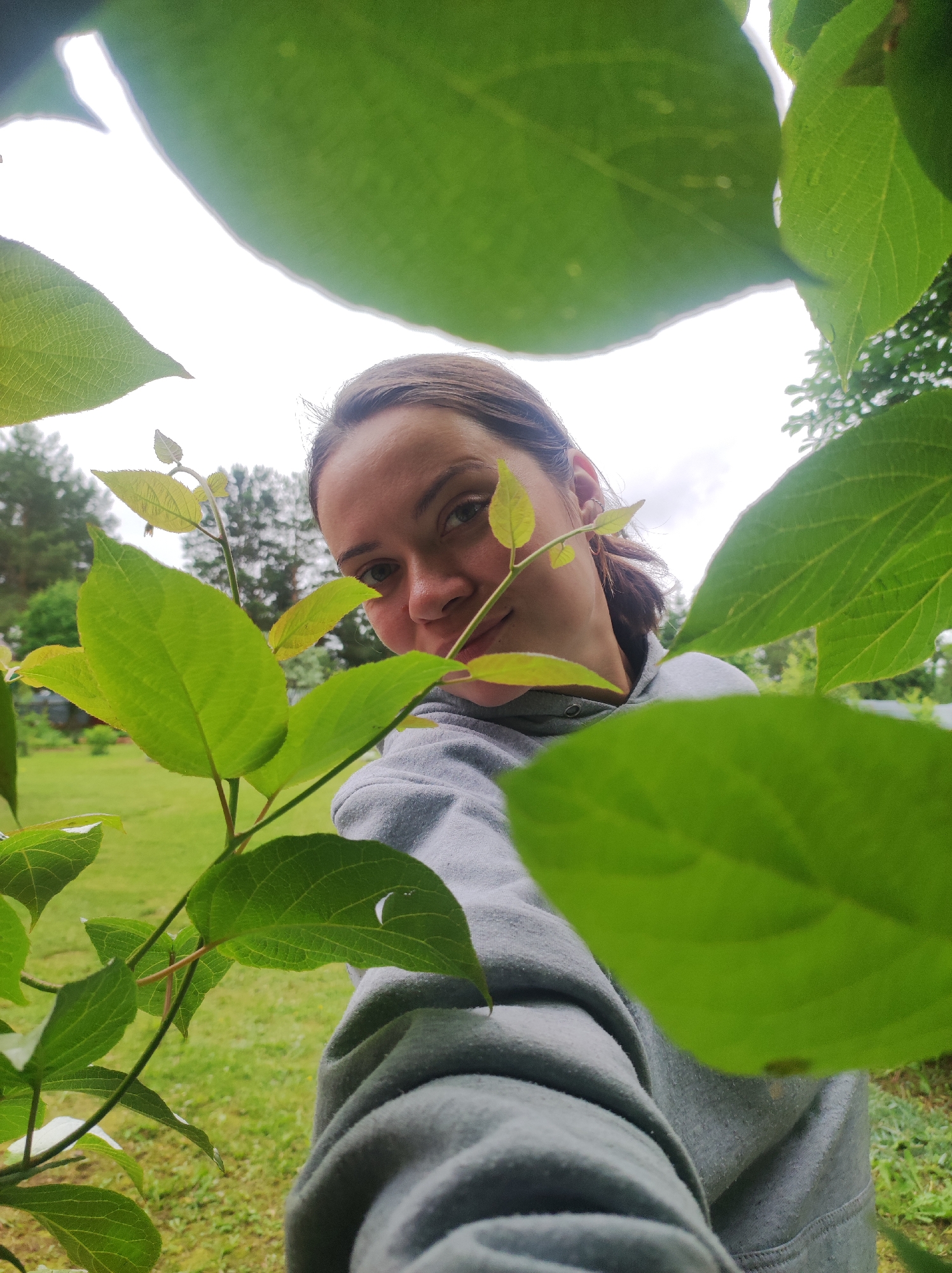 The image displays a low-angle perspective of a female individual in an outdoor, vegetated setting within Foki, Russia. Her face, positioned slightly off-center and partially obscured by prominent green leaves in the immediate foreground, gazes directly into the camera with a neutral expression. She has brown hair pulled back and is wearing a grey hooded sweatshirt, with a portion of her right arm visible extending towards the lower right. The surrounding leaves are a vibrant green, with some exhibiting minor light-colored spots or small perforations. The background is blurred, revealing a green grassy area or lawn extending into the mid-ground, bordered by mature trees (including conifers) under an overcast, light grey sky. The lighting is diffuse, consistent with a cloudy day.