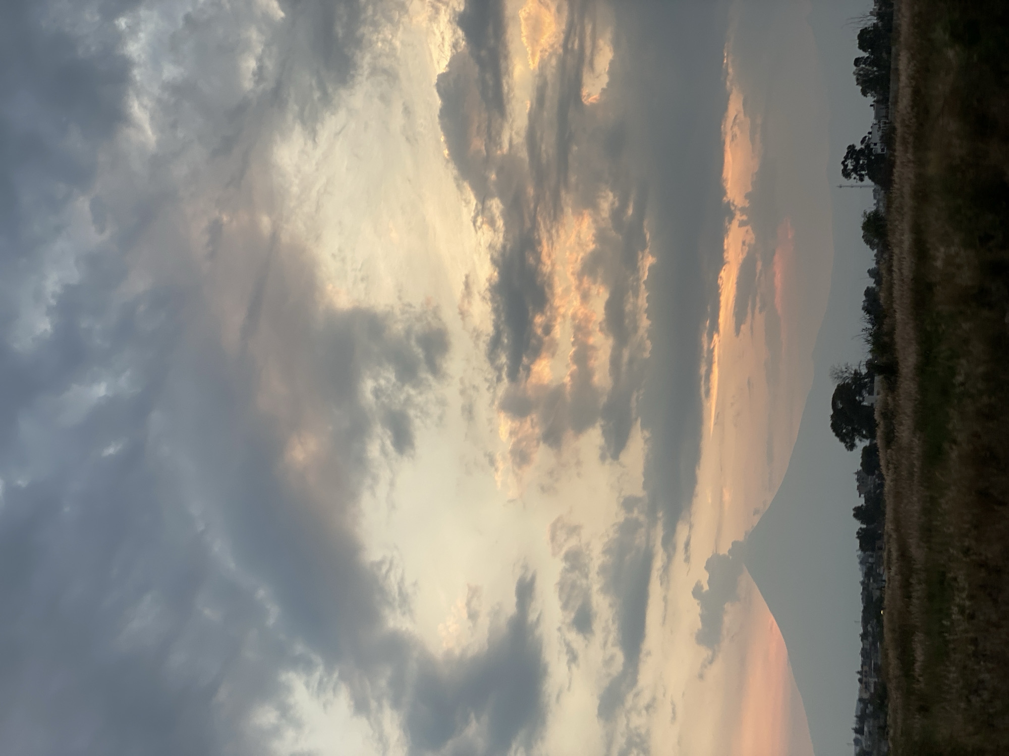 The image shows a view towards the horizon. On the right, there's a grassy field and some trees. In the distance, what appears to be a city skyline can be seen. The majority of the view is filled with a cloudy sky with areas of orange glow.