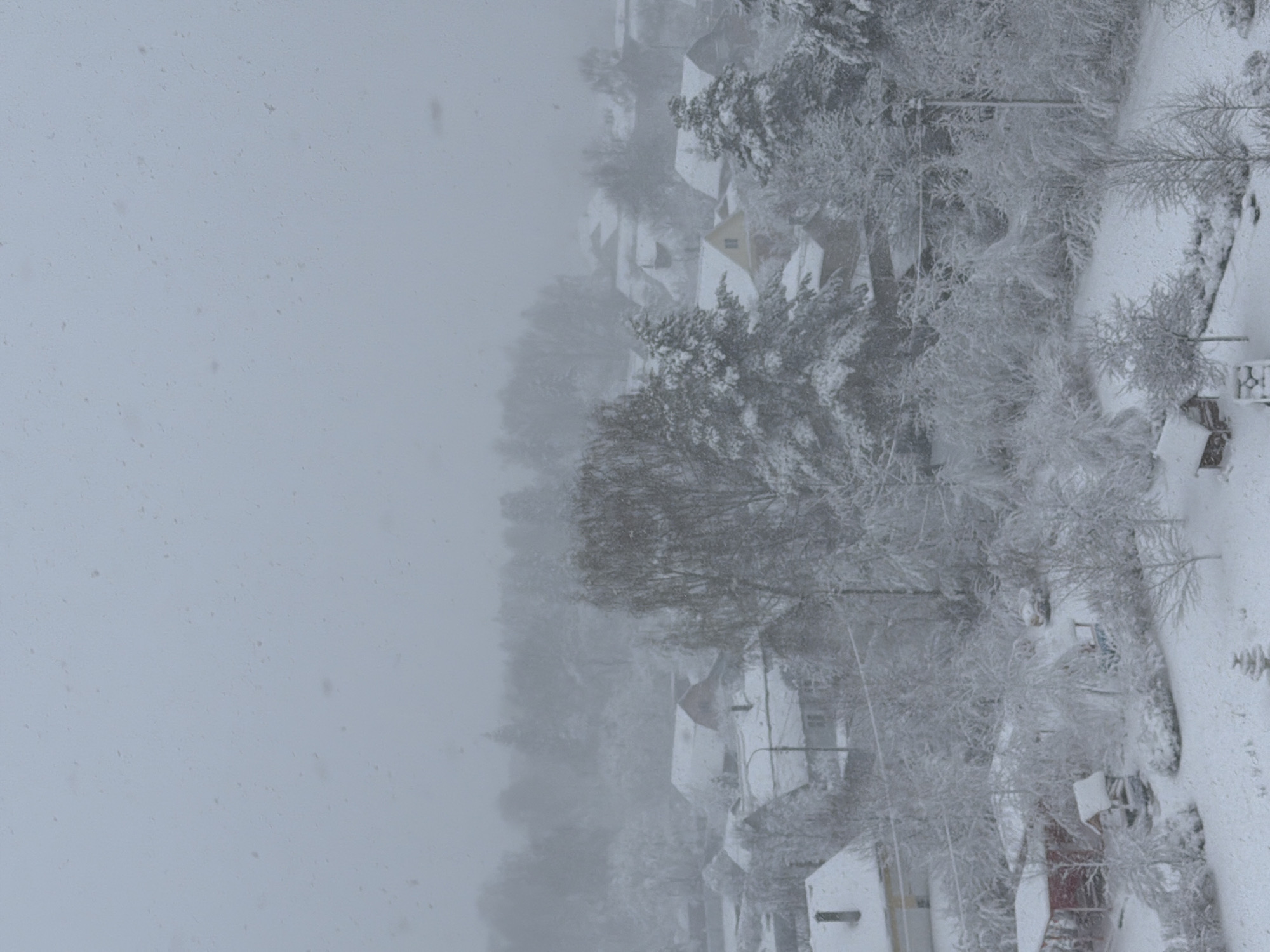 The image shows a snowy scene in what appears to be a residential area. Houses and trees are heavily covered in snow. Visibility is low due to the heavy snowfall. The image is oriented vertically, with the skyline obscured by snow and fog.