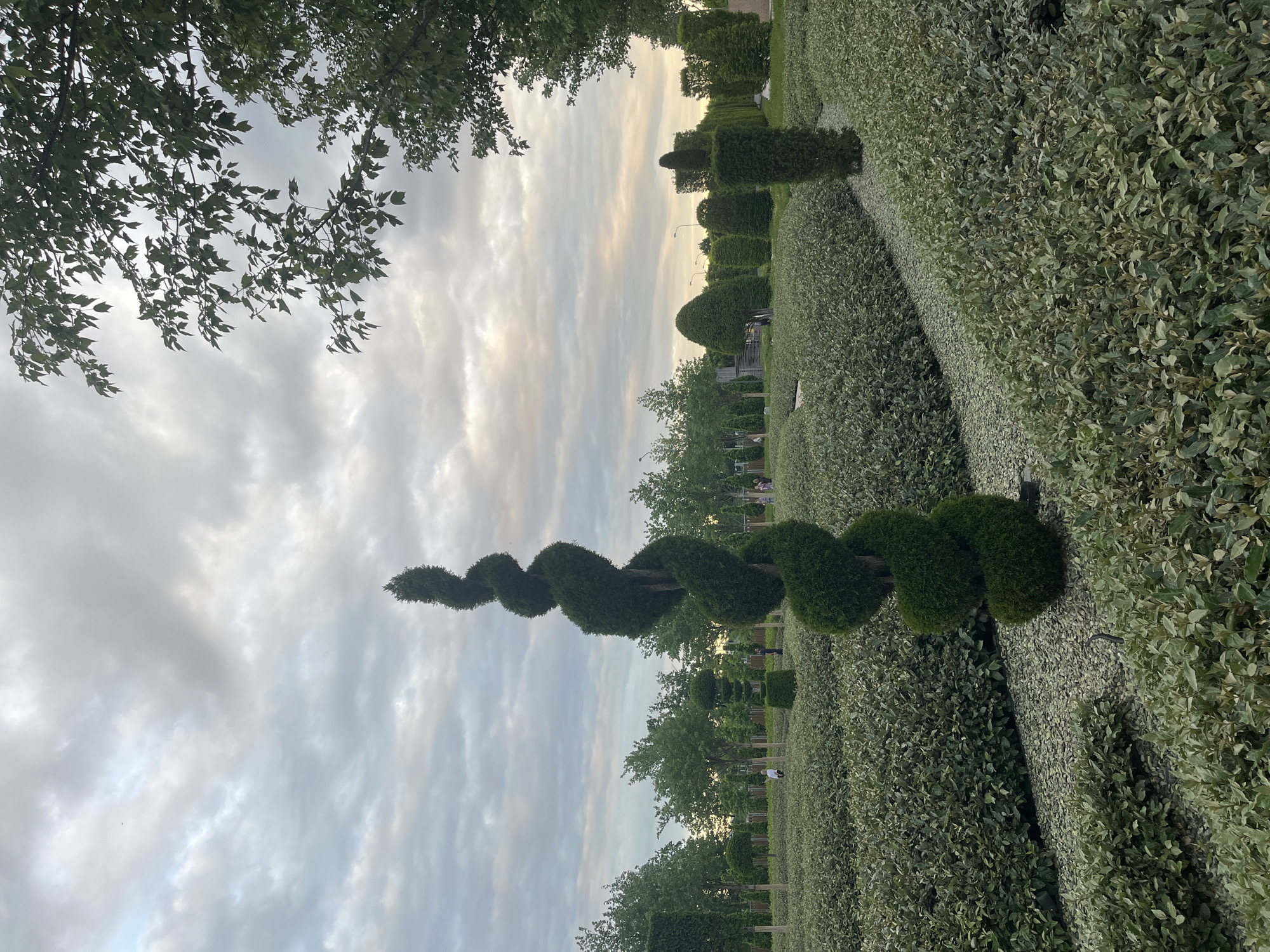 The image shows a park in Krasnodar, Russia. A tall, spiraling topiary dominates the foreground. In the background, a long, manicured hedge extends into the distance, interspersed with other sculpted bushes. Trees line the edge of the park. The sky is overcast with clouds.
