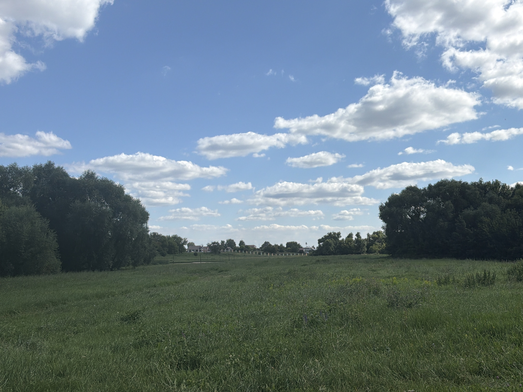 The image depicts a wide, grassy field under a bright blue sky with scattered white clouds. Dense, dark green trees line the left and right edges of the frame, with a line of buildings and more trees visible in the distance across the field. The terrain appears to be gently rolling. The scene is characteristic of a rural or semi-rural landscape, possibly within the village of Skornyakovo, Russia. There are no people or animals visible in the image. The time of day appears to be daytime, likely late morning or early afternoon, given the lighting conditions.