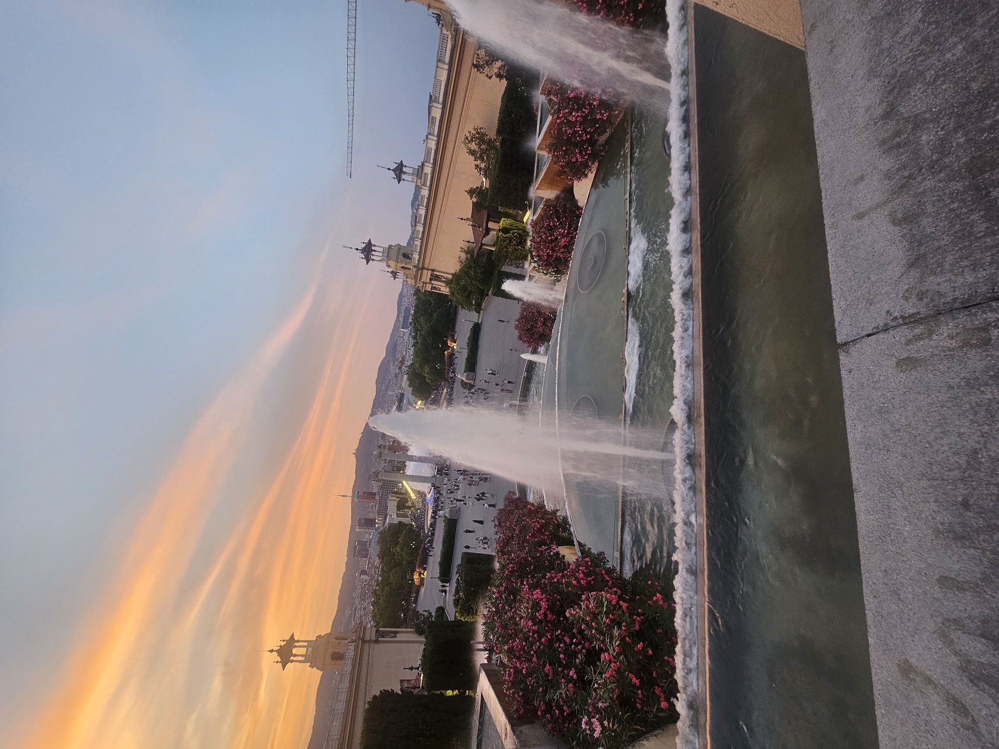 This is a photograph of the Magic Fountain of Montjuïc in Barcelona, Spain. The image captures a view of the fountain complex and the surrounding area during sunset. The sky is painted with hues of orange and pink, indicating the sun is low on the horizon. In the foreground, water from the fountain streams upwards and cascades over the edges of the pools. Lush, pink-flowering bushes line the sides of the fountain.
In the midground, a plaza is visible with numerous people walking around. Several fountains are active in the background, and behind them, the large Palau Nacional, a prominent building, stands with its distinctive towers. The cityscape of Barcelona stretches out in the distance, with buildings and hills visible. A construction crane can be seen in the upper right portion of the image, suggesting ongoing development in the area. The overall scene conveys a sense of leisure and natural beauty, with the fountain and sunset providing a picturesque backdrop.