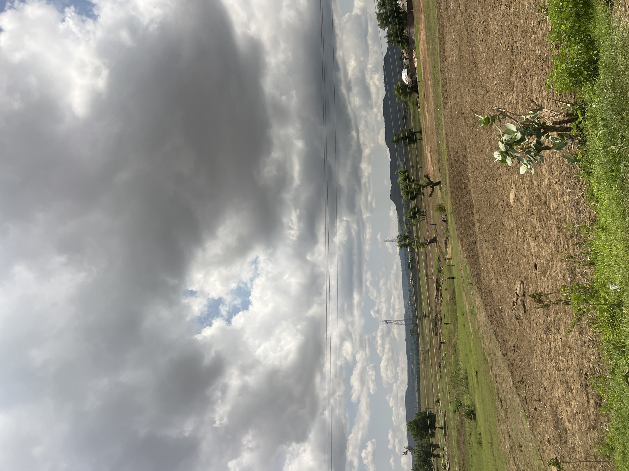 This image captures a rural landscape in Sabon Layi Jessu, Nigeria, under a predominantly overcast sky. The upper two-thirds of the frame are filled with dense, grey stratocumulus clouds, with intermittent patches of brighter clouds and glimpses of blue sky visible, particularly towards the mid-left and upper-right.
In the immediate foreground, a strip of vibrant green grass and various small plants is present at the bottom. To the right, a distinctive plant with thick, light blue-green leaves and a woody stem stands prominently against a backdrop of exposed earth.
The midground is dominated by a vast expanse of cultivated or fallow land, characterized by dry, tilled brown earth. Patches of green vegetation are scattered throughout this area. Several small human figures are discernible in the fields and near distant structures, suggesting agricultural activity or movement. Multiple power lines traverse horizontally across the mid-upper section of the image, with tall, metallic lattice electricity transmission towers visible further in the distance.
The background features a range of low, undulating hills or mountains, which appear dark green with vegetation along the horizon. To the right, a small cluster of rural dwellings, comprising circular structures with light-colored or thatched roofs, is visible at the base of these distant formations. The overall scene depicts an active agricultural environment with rural settlements and utility infrastructure.