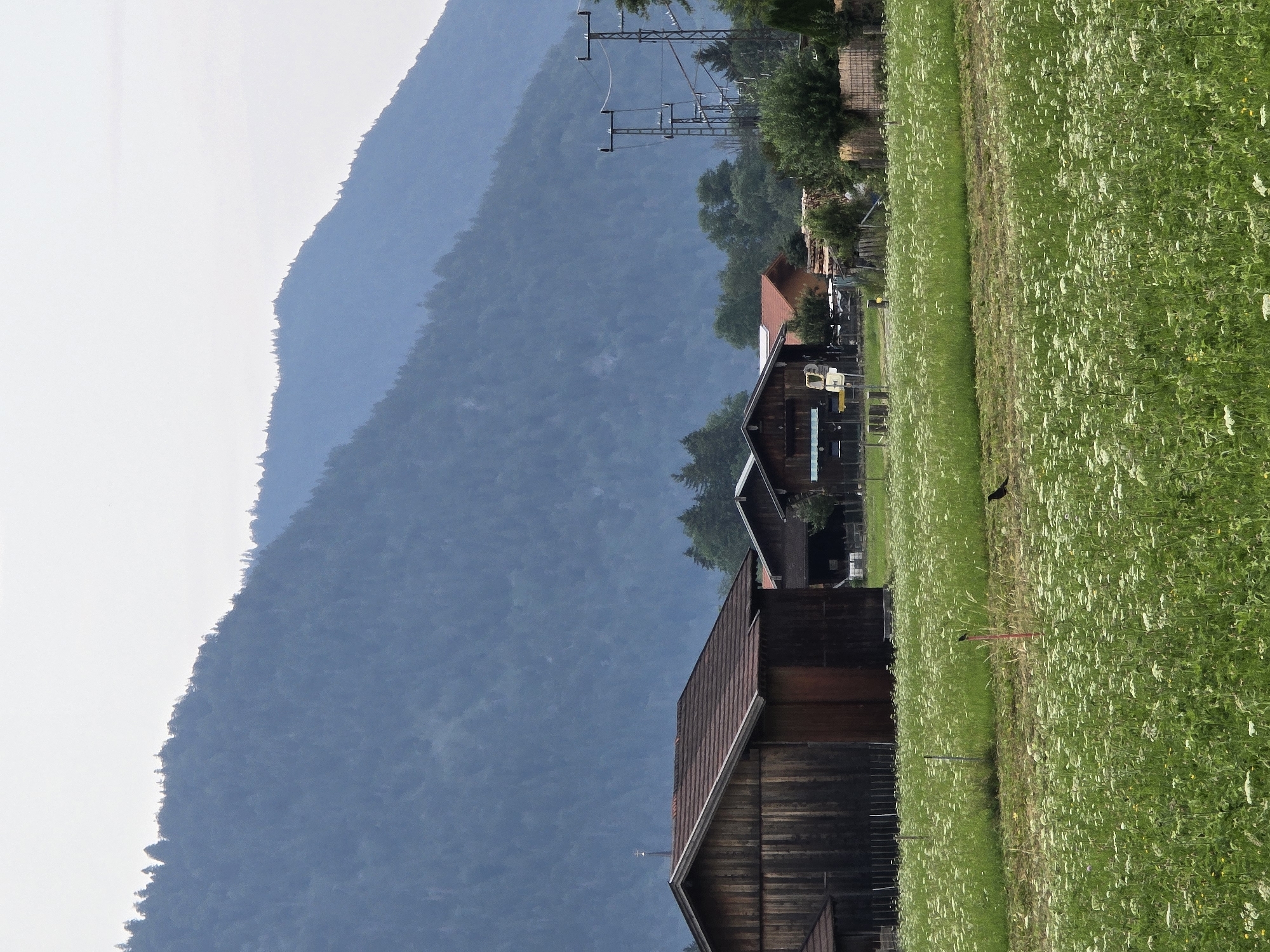 The image depicts a rural scene with a mountain range in the background. A lush green field with wildflowers dominates the foreground, stretching towards several wooden buildings. The buildings appear to be barns or farmhouses, with one prominently featuring a reddish-brown roof. Power lines and poles are visible in the mid-ground, suggesting the proximity of infrastructure. A solitary black bird is perched on a thin red pole in the field. The overall atmosphere is tranquil and idyllic, with the soft light suggesting it might be early morning or late afternoon. The location context of Garmisch-Partenkirchen, Germany, implies a mountainous alpine setting. There is no visible text in the image.