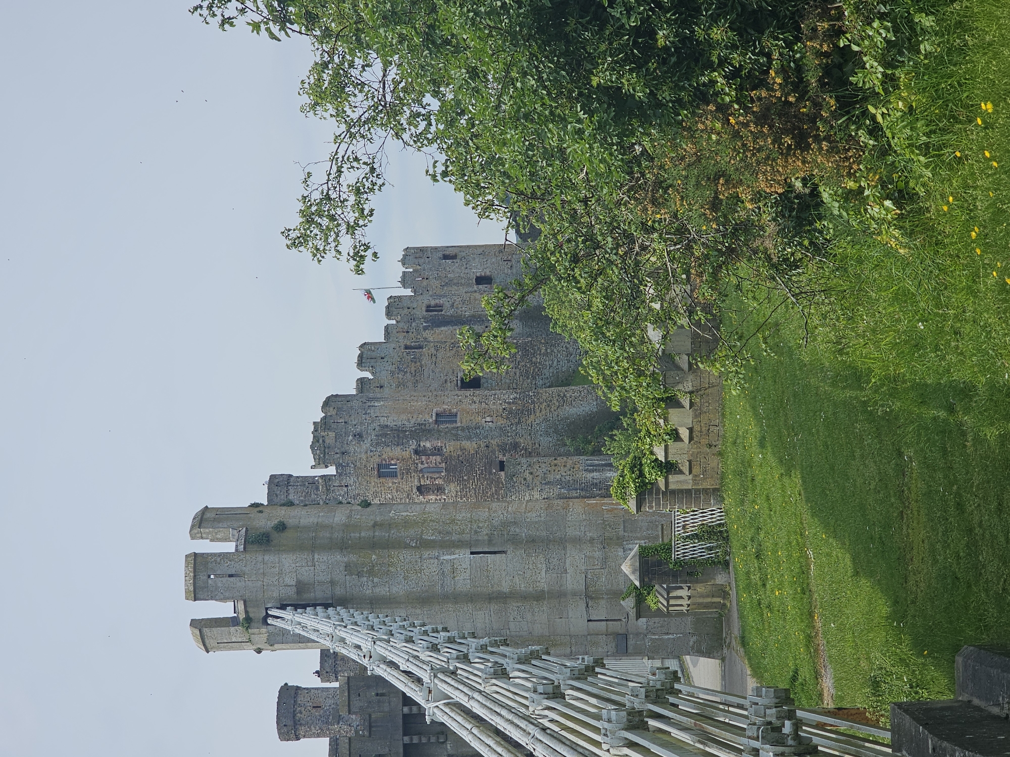 The image shows a view of Conwy Castle in Conwy, Llandudno Junction, United Kingdom. The castle is constructed from grey stone and features multiple towers and battlements. A bridge, constructed from steel cables, spans the moat and provides access to the castle. The Welsh flag flies atop one of the towers. The castle is surrounded by green grass, and trees are present in the scene.