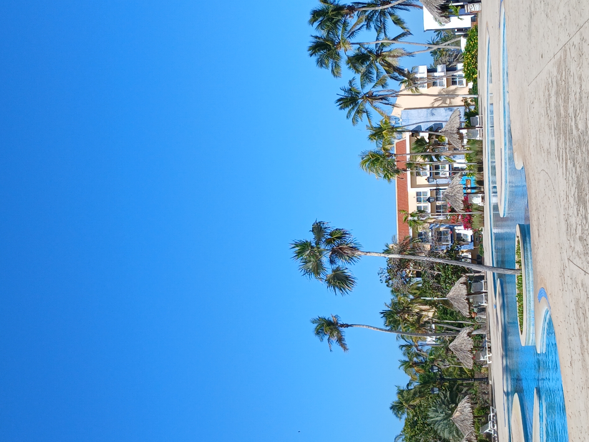 The image shows a tropical resort in Playa El Agua, Venezuela. The scene includes palm trees against a clear blue sky, a multi-story hotel building, thatched umbrellas, and a swimming pool with a light-colored pool deck. There are no people visible in the image.