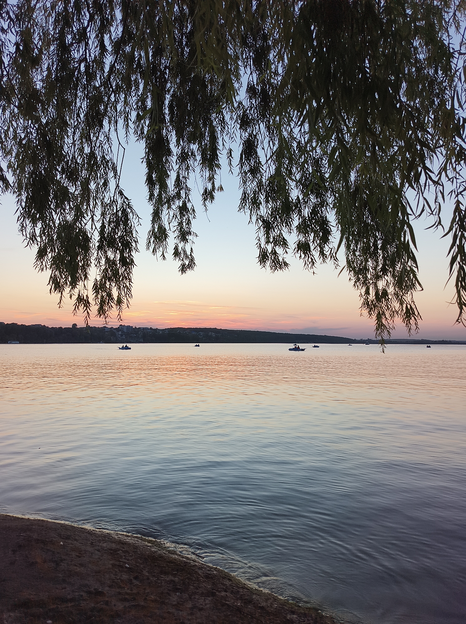 The image captures a serene sunset over Ternopil Lake in Ternopil, Ukraine. The foreground features a dark, sandy shore with some debris. Above the shore, the calm water of the lake reflects the soft hues of the sunset. The water surface is slightly rippled, creating subtle patterns of light and shadow.
In the middle ground, several small boats with people can be seen on the lake, enjoying the evening. The boats appear to be leisurely moving across the water. The far shore of the lake is lined with a dark silhouette of trees, and beyond that, a cityscape with buildings is visible, faintly illuminated against the colorful sky.
The sky itself is a canvas of pastel colors, transitioning from a pale blue at the top to soft pinks and oranges near the horizon, indicative of a sunset. Delicate branches and leaves of a weeping willow tree hang from the top of the frame, partially obscuring the sky and adding a natural, framing element to the scene. The overall atmosphere is peaceful and tranquil.