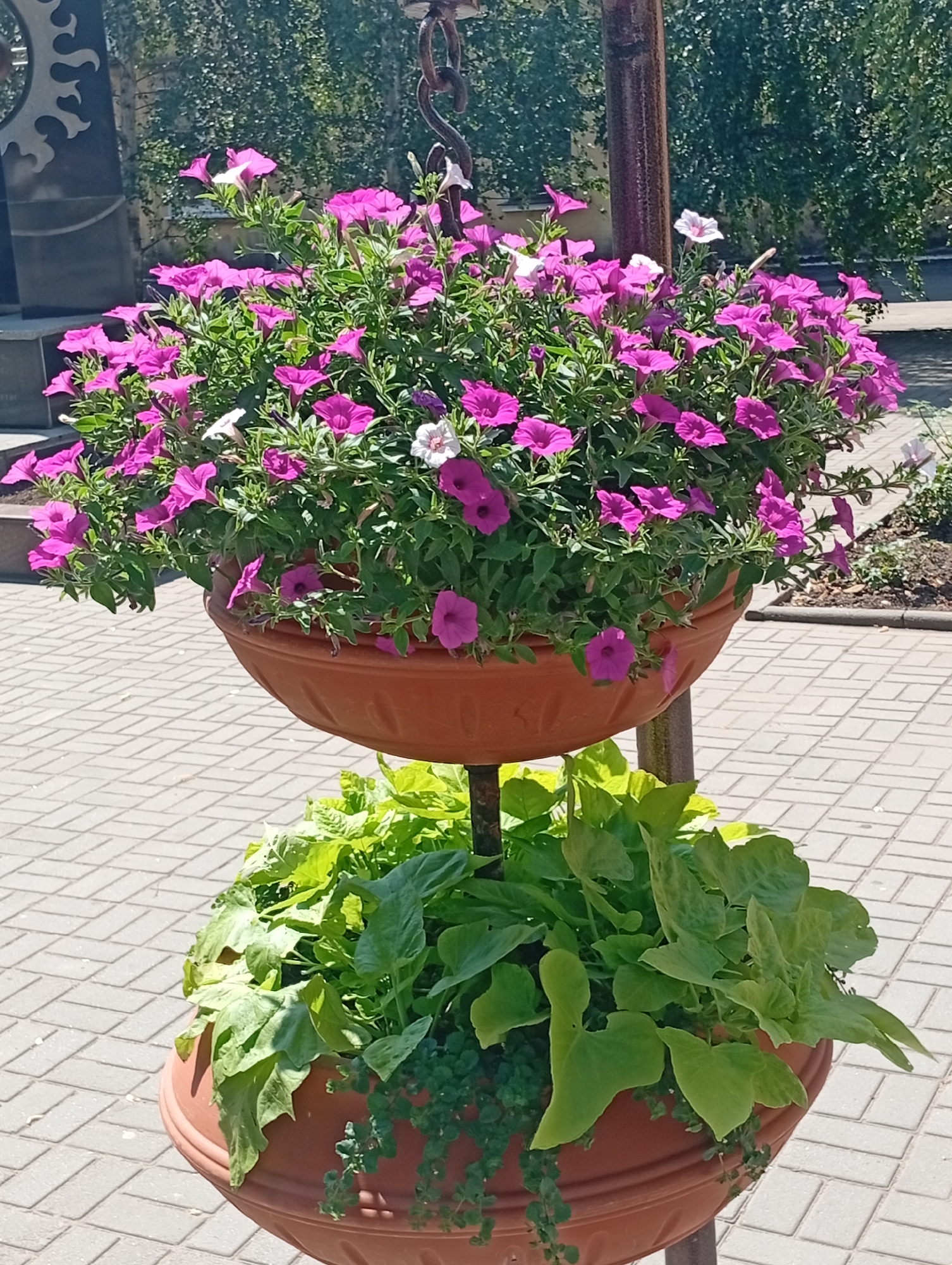 This is a medium shot, eye-level, vertical photograph of a two-tiered planter filled with flowers and greenery. The planter is made of terracotta-colored plastic. The top tier is overflowing with bright magenta petunias, with a few white petunias interspersed. The bottom tier is filled with lush, bright green foliage, possibly sweet potato vines, with some trailing greenery at the edge. The planter is supported by a dark, thick metal pole. The background consists of a paved area with light grey interlocking pavers, and beyond that, a dense green hedge. In the far left background, a dark, angular monument with some decorative cutouts is partially visible. The lighting suggests a bright, sunny day. The image appears to be taken in an outdoor public space, possibly a park or a city square. The location is identified as Pokrov, Ukraine. There are no people visible in the image.