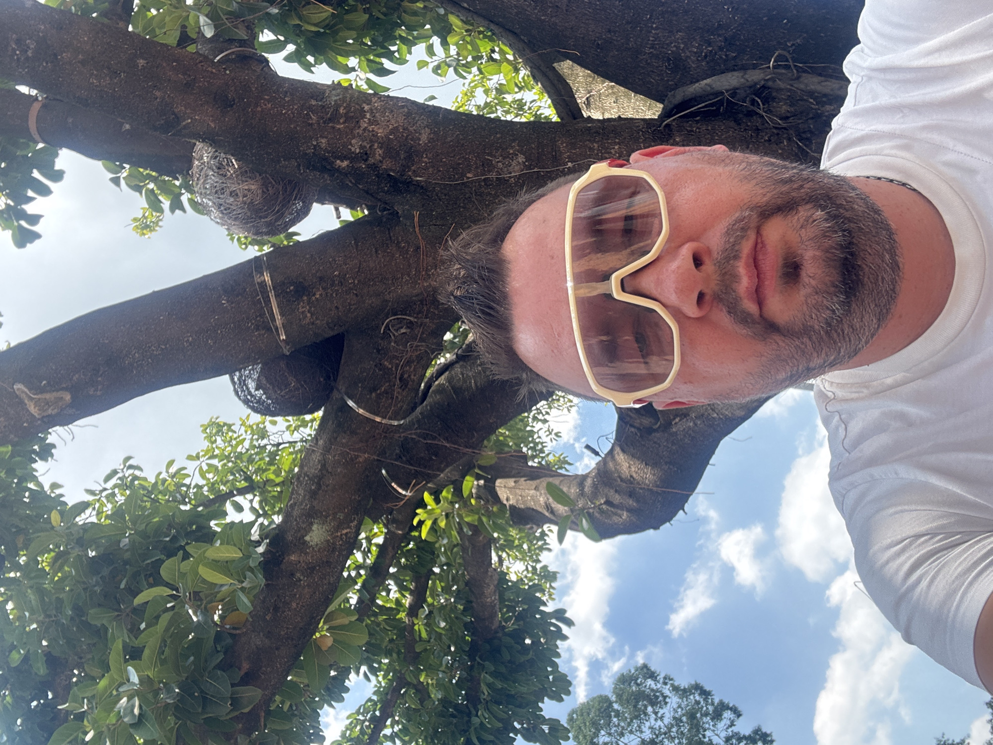 A man, wearing a white t-shirt and light-colored sunglasses, takes a selfie outdoors. He is positioned in the foreground, with a large tree and a bright blue sky with scattered clouds filling the background. The tree has thick branches and lush green leaves, and two bird nests are visible attached to the trunk. The image appears to be taken during the daytime, likely in a park or natural area within Panyu District, China.