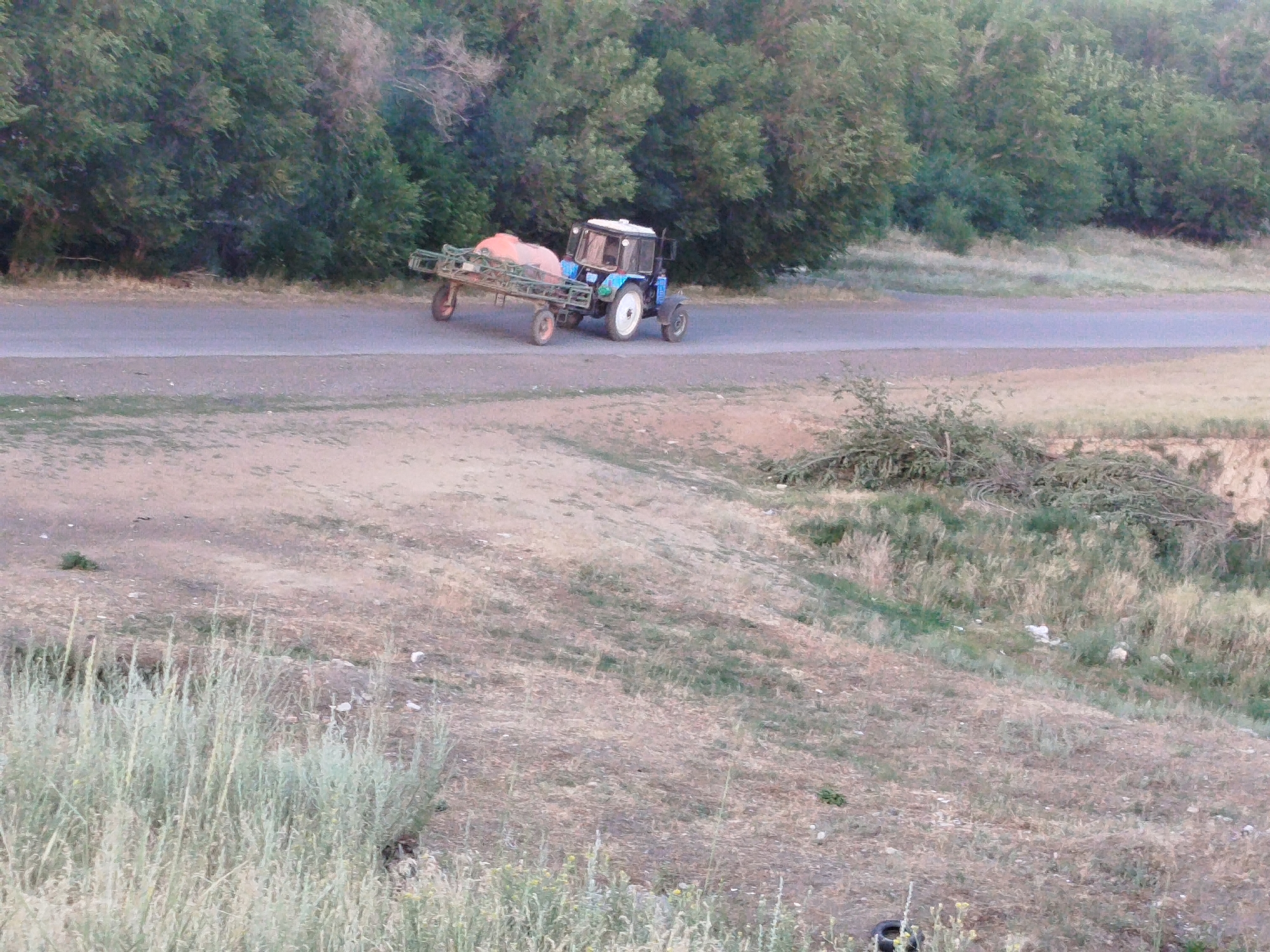 In Kabanbay, Kazakhstan, a blue tractor pulls an orange implement across a paved road. The tractor is a medium blue with a white cab. It has four wheels, with the rear wheels being larger than the front. The implement it is pulling is orange and appears to be a sprayer, with a tank and a boom extending out to the sides. The tractor and implement are moving from left to right across the frame.
The scene is set in a rural area with trees lining the edge of the road. The ground is a mix of dirt and dry grass, suggesting a warm and dry climate. The time of day appears to be late afternoon or early evening, given the soft lighting and long shadows. The sky is not visible in the frame. There are no people visible in the image. The overall impression is one of agricultural work taking place in a natural, somewhat arid environment.
