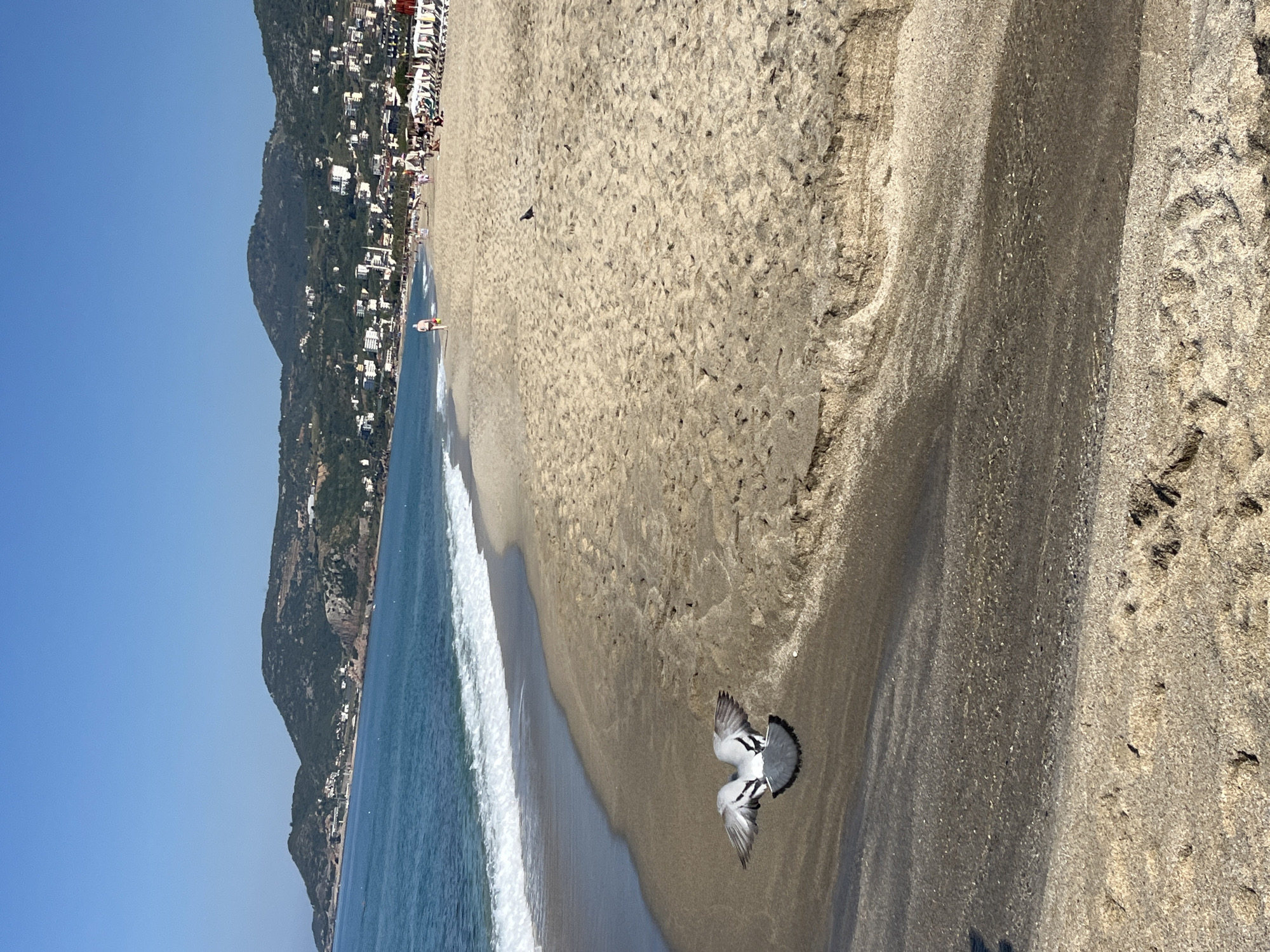 The image captures a beach scene in Alanya, Turkey, recognizable by the mountainous backdrop along the coast. The shoreline is defined by gentle waves meeting the sand. A pigeon is flying in the foreground. The beach appears populated, with some individuals walking along the shoreline. Buildings and other urban structures are visible along the mountain. The sky is clear.