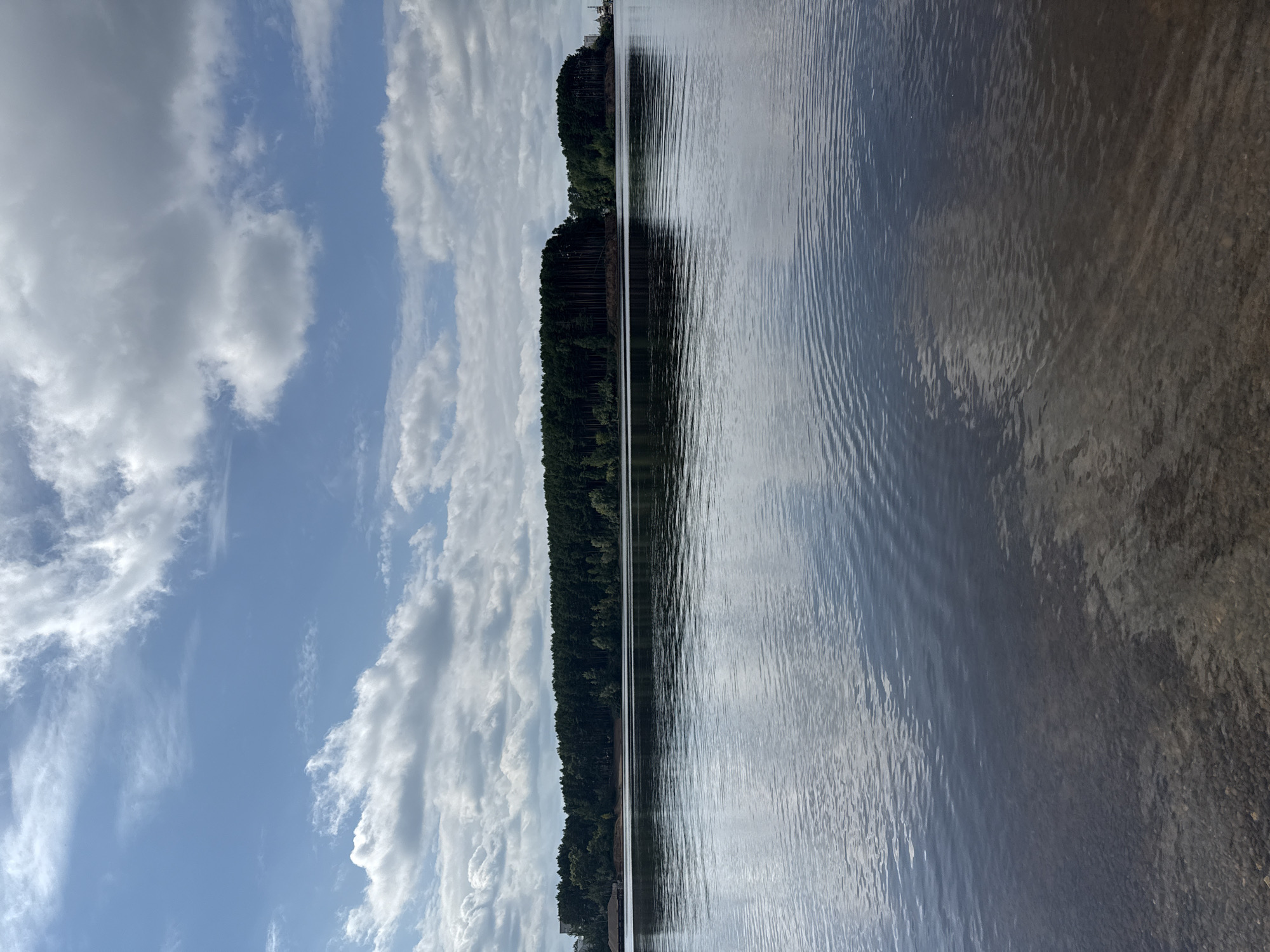 The image depicts a wide, calm body of water, likely the Kama River, in Chaikovsky, Russia. A dense forest lines the far bank, with a clear demarcation between the dark green of the trees and the lighter brown of the shore. The sky above is a bright blue, punctuated by scattered white, puffy clouds. The water's surface is mostly still, with subtle ripples creating a pattern that reflects the sky and the distant treeline. The foreground shows a shallow area of the water with a visible bottom of small stones. There are no people or animals visible in the scene.