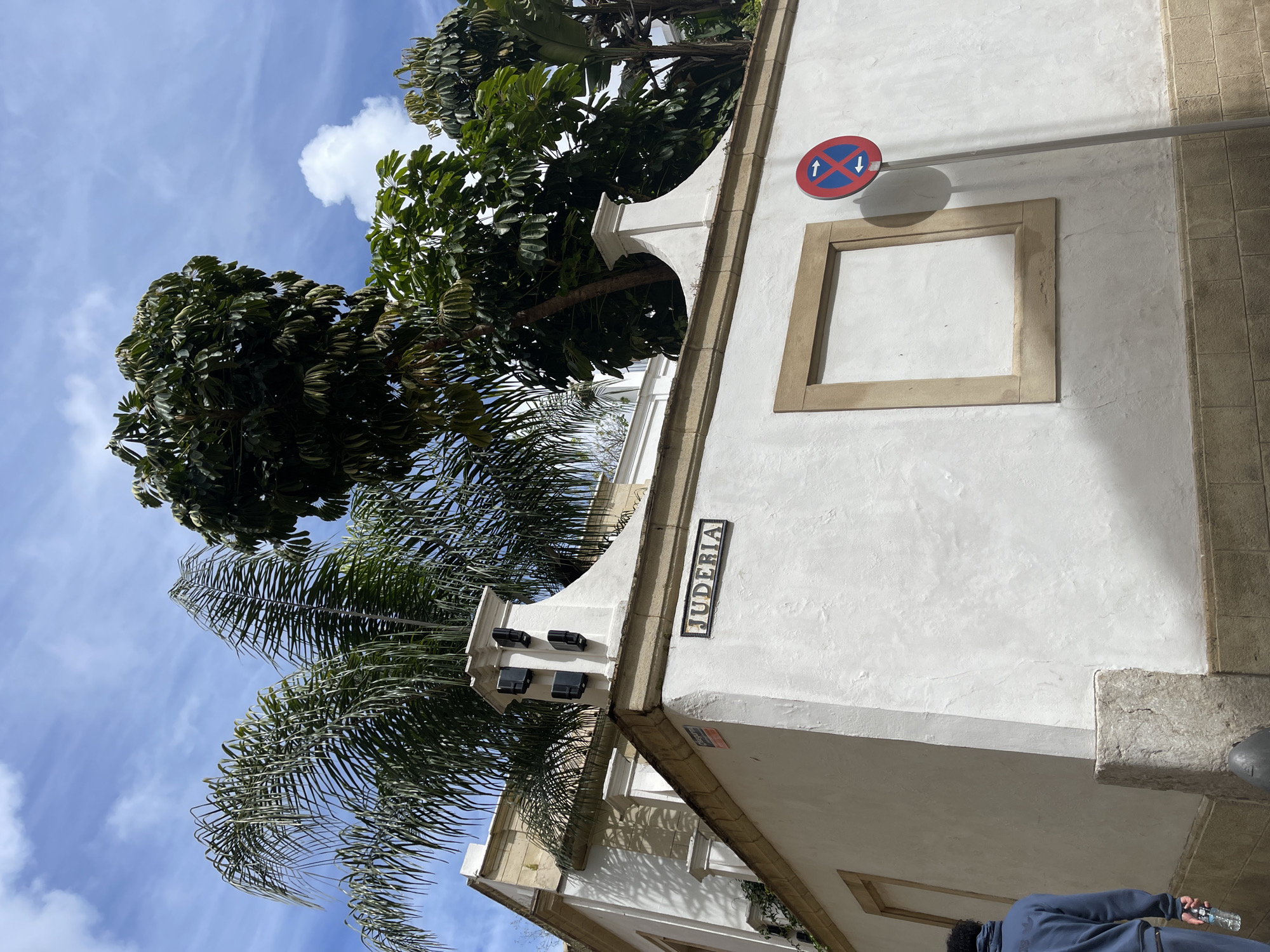 A low-angle shot depicts a white-walled building under a partly cloudy blue sky. A street sign reading "JUDERIA" is attached to the wall near the roofline. Above the street sign, there is a framed rectangle. A traffic sign indicating no stopping is mounted on a pole above the framed rectangle. The building is partially obscured by trees and palm fronds. A person wearing a blue jacket is partially visible in the lower right corner of the image. The street is located in the Jewish Quarter of Jerez De La Frontera, Spain.