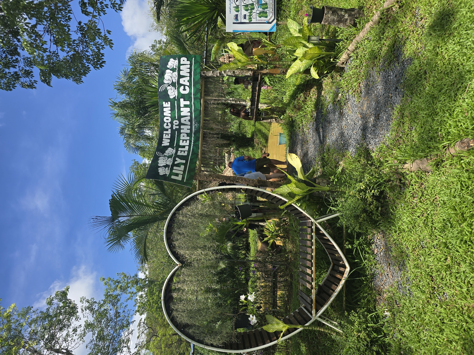 Here's a detailed description of the image:
**Scene:** A scenic outdoor view in what appears to be a tropical or subtropical location.
**Location:** Lily Elephant Camp.
**Objects and Structures:**
* A large green sign reads "WELCOME to LILY ELEPHANT CAMP" with cartoon elephants on the sign.
* A large heart-shaped metal frame is prominently placed in the foreground, filled with plants and greenery.
* A gravel path leads further into the area.
* Wooden benches and structures are visible.
**Environment:**
* Lush greenery, including various types of plants, trees, and grass, surrounds the area.
* The sky is blue with scattered clouds, indicating a clear day.
**People and Interactions:**
* At least two people are walking on a wooden platform. One is wearing a blue shirt.
**Overall Impression:** The scene seems to be a tourist attraction or recreational area. The heart-shaped frame suggests a location with a touch of romance or visual appeal. The presence of people in the background indicates activity and use of the area.