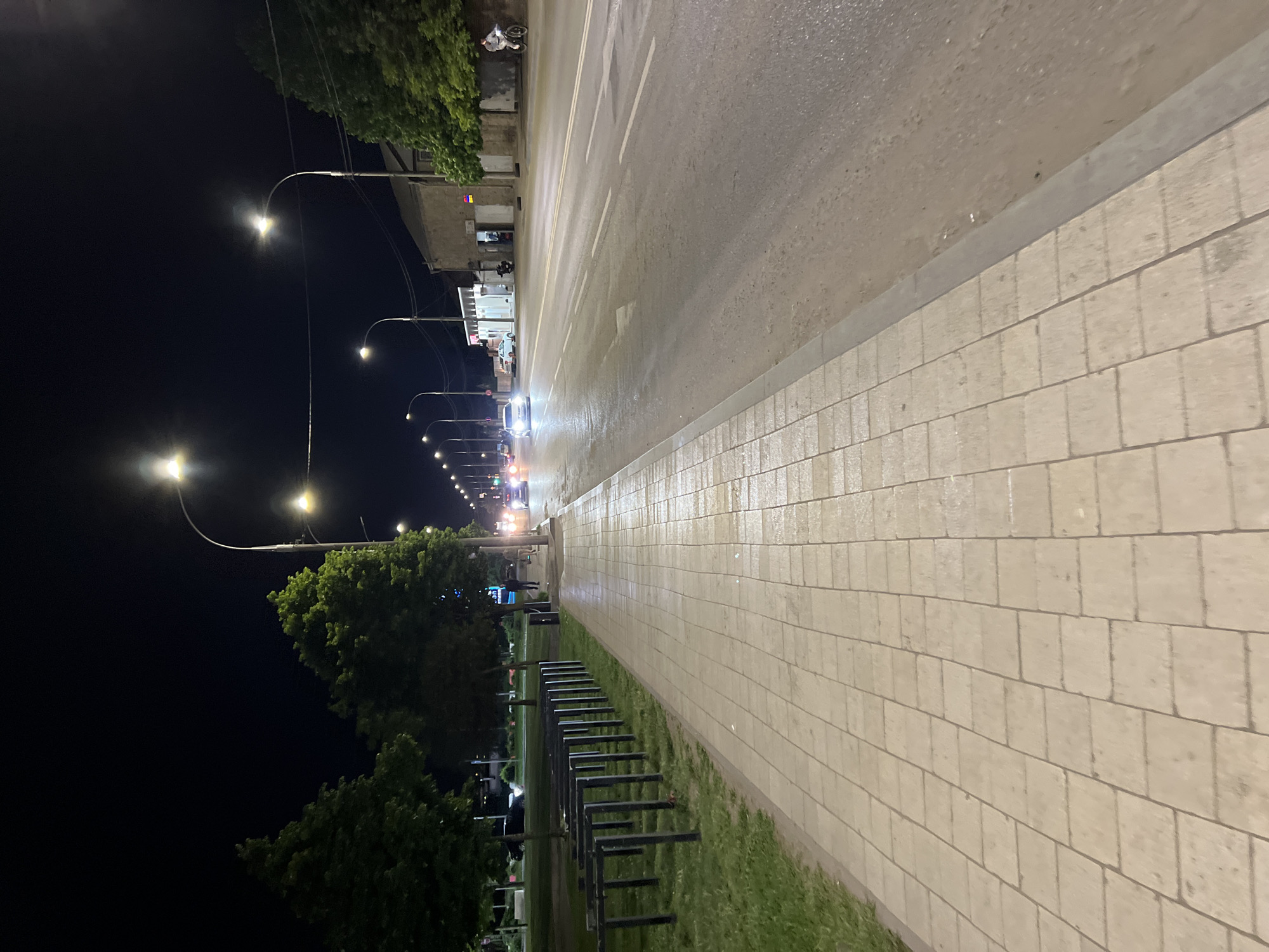 This nighttime photo captures a street in Krasnodar, Russia. The perspective is from the sidewalk, which is paved with light-colored rectangular blocks. A strip of green grass separates the sidewalk from a row of black metal bike racks. Beyond the bike racks are trees and streetlights that illuminate the scene. The street appears wet, reflecting the light from passing vehicles and streetlights. Buildings line the opposite side of the street, with visible storefronts and pedestrians. The sky is dark, indicating it is night.