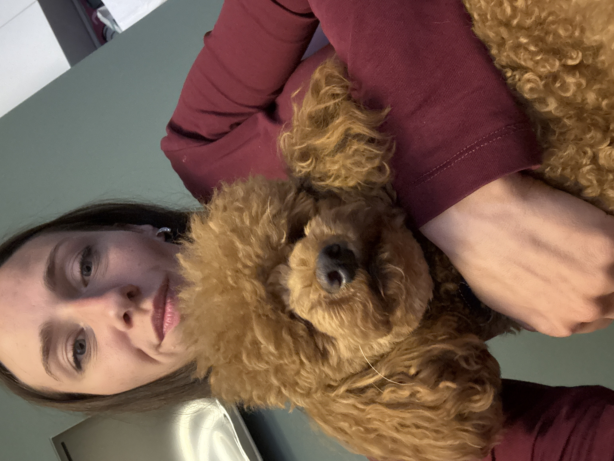 A woman with brown hair and a maroon long-sleeved shirt holds a brown poodle close to her body. The dog's head rests near her neck. The background is blurry and appears to be a wall. There is no indication of location.