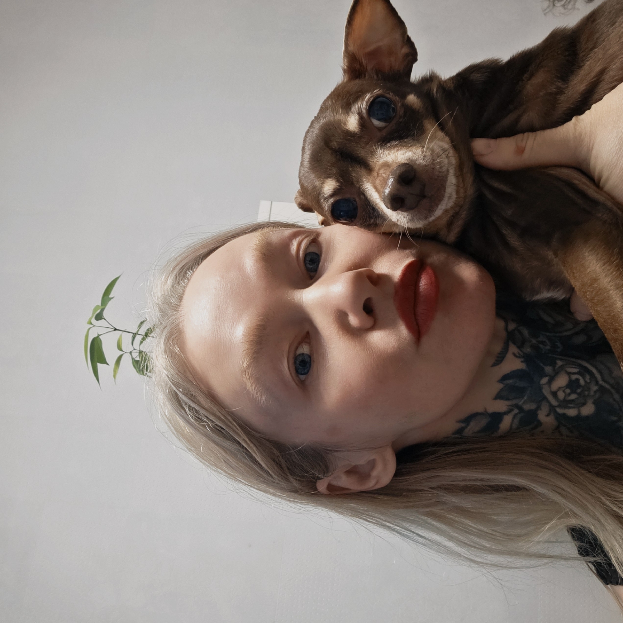 A close-up, low-angle selfie features a fair-skinned person with blue eyes and lipstick posing with a brown chihuahua. The person has light blonde hair and a tattoo on their chest and neck. A small plant is visible behind the person's head. The background is a plain white wall. The location, Saint Petersburg, Russia is not evident from the image.