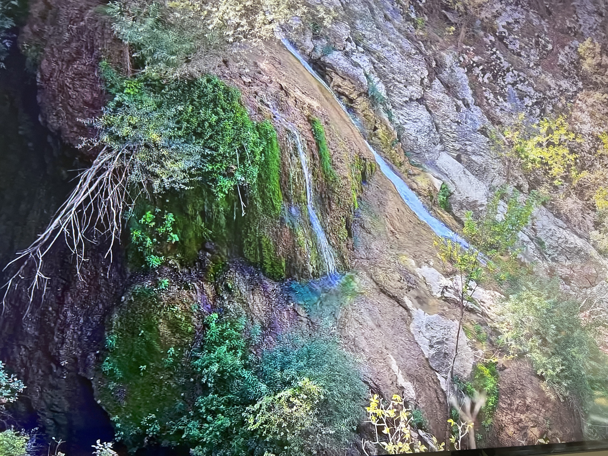 The image shows a rocky hillside with vegetation and a small waterfall. The left side of the image is dominated by a dark rock formation covered in green moss and foliage, with some dead branches protruding from it. In the center, a small waterfall trickles down the rocky surface, creating a pool of water at its base. Moss and green growth are visible along the path of the waterfall. The right side of the image reveals layered rock formations with patches of vegetation, including some yellow-leafed plants. The background is a mix of rocky terrain and sparse vegetation. The location is unknown, and there is no evidence in the image suggesting it is in Basingstoke and Deane, United Kingdom. No people or specific interactions are visible.