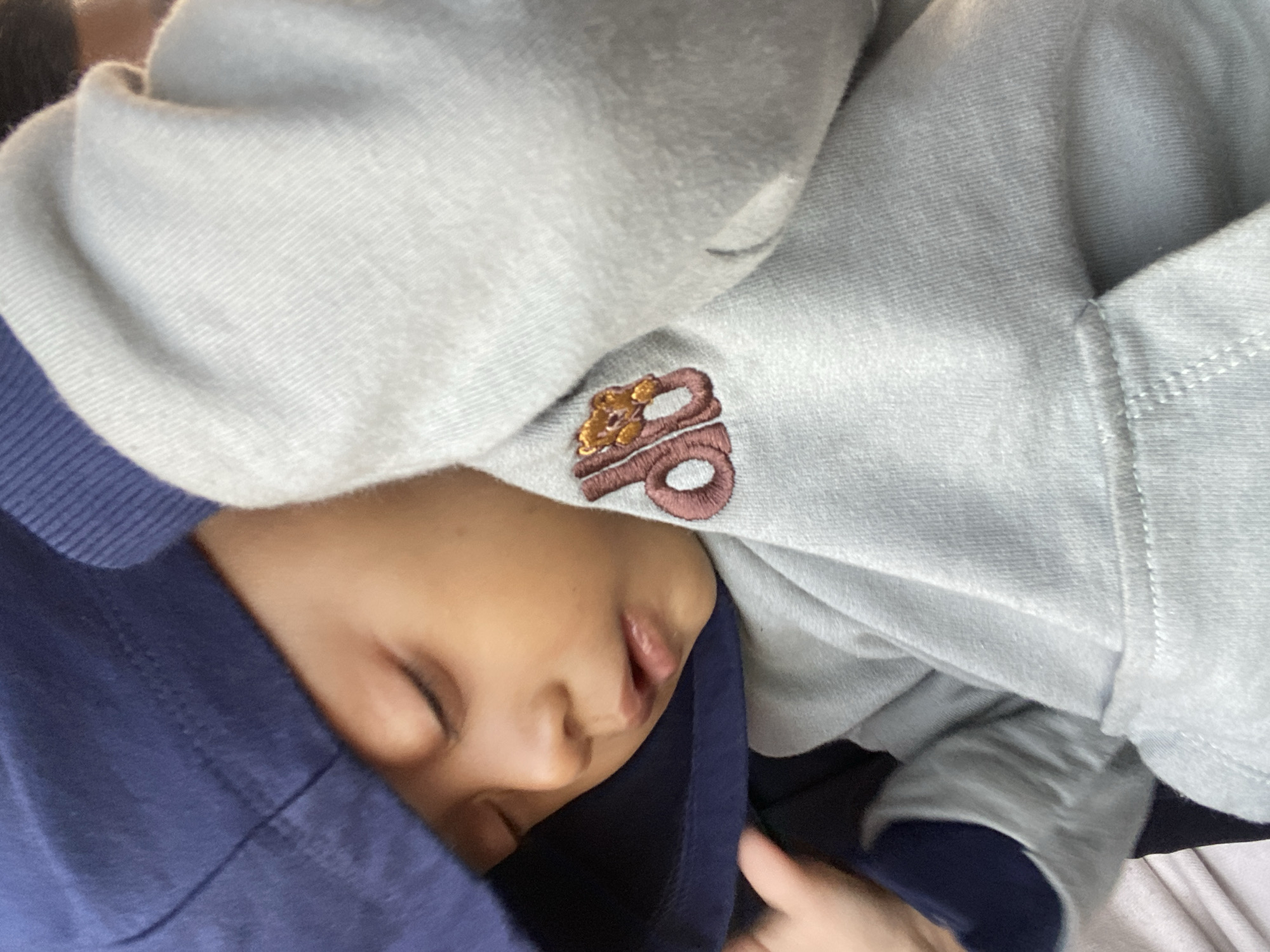 A close-up, angled shot shows a sleeping toddler wearing a gray hoodie with a small embroidered graphic on the chest. The toddler's face is partially obscured by a navy blue hood. The background is out of focus, with no discernible environmental details. The image is a personal photograph, not a cityscape depiction of Melaya, Indonesia.