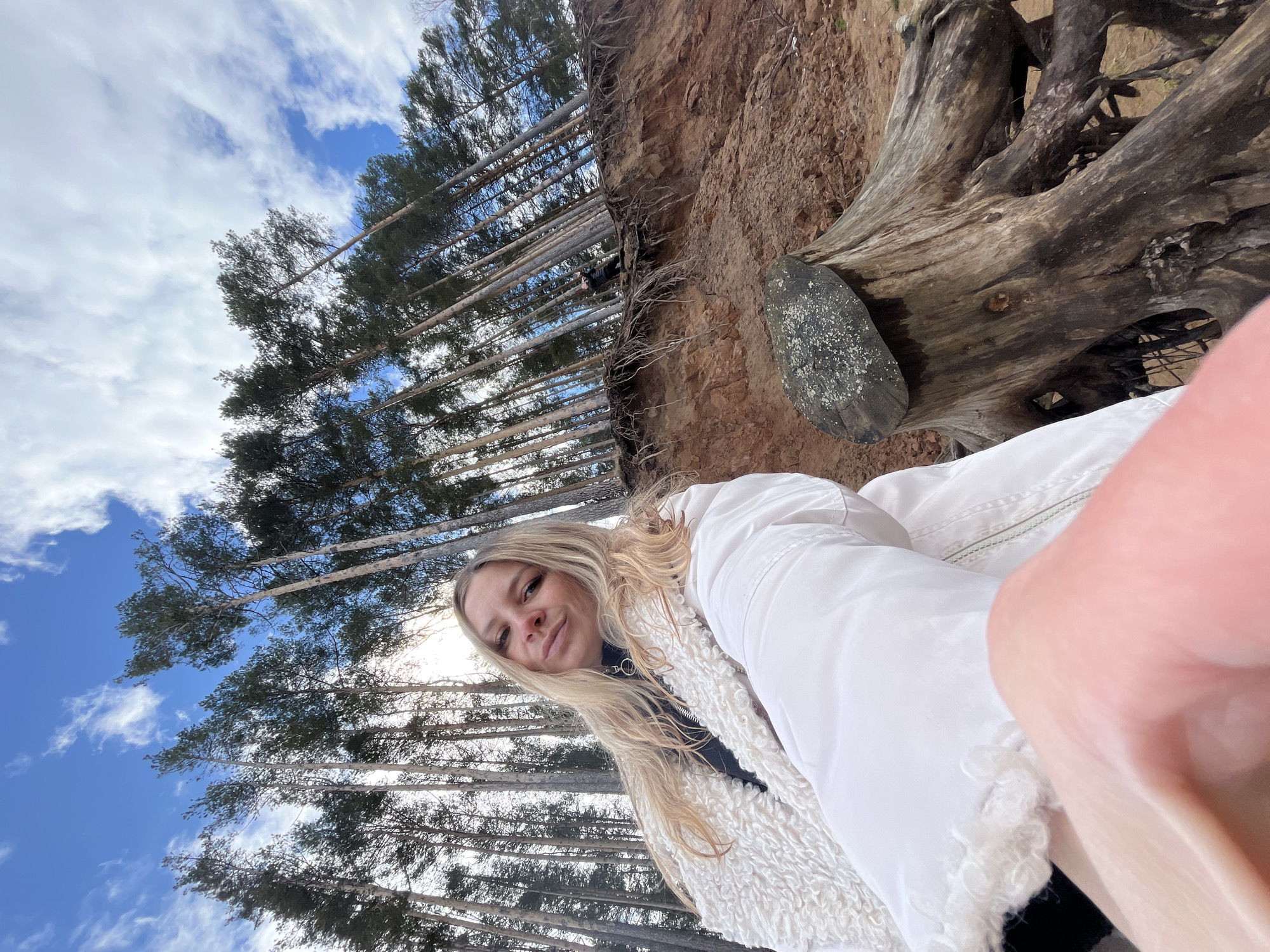 A young woman with long blonde hair is centered in the foreground of the photograph. She is wearing a white jacket and looking at the camera. Behind her is a forest of tall, thin trees, and a blue sky with white clouds is visible through the branches. To the right of the woman is a sandy cliff with exposed tree roots. A dark, weathered piece of wood sits near the edge of the cliff. The location is likely Chaikovsky, Russia, given the prompt.