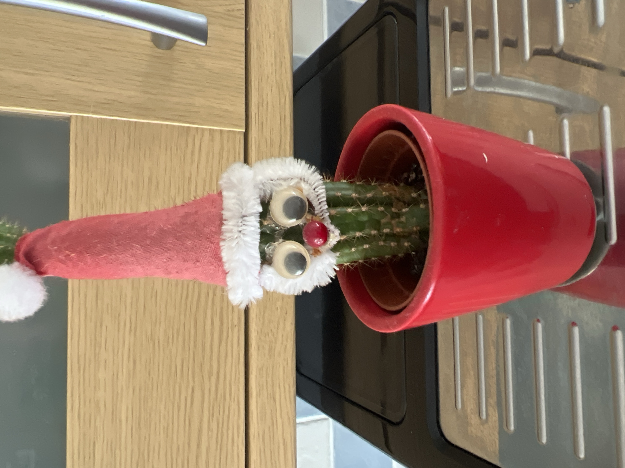 A cactus in a red pot, decorated with a Santa hat, googly eyes, and a red nose, rests on a surface adjacent to a light-colored wood-grained cabinet. Part of a black appliance is visible behind the potted plant, and a rack sits on top of the appliance. The image was taken in Basingstoke and Deane, United Kingdom.