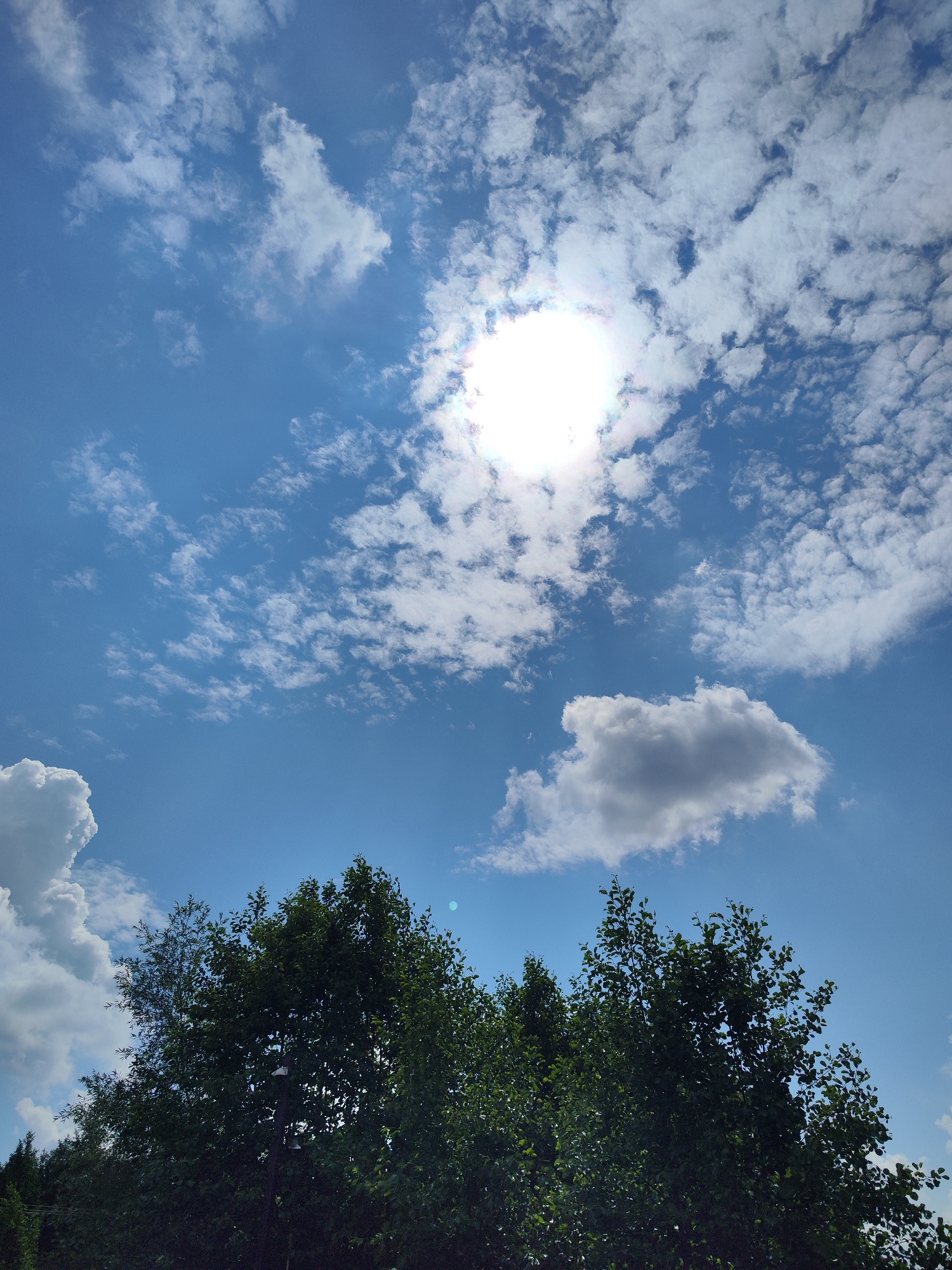 The image depicts a bright, sunny day with a blue sky dotted with scattered white clouds. The sun is prominently visible in the upper center, casting a strong glare. In the foreground, the dark green foliage of trees fills the bottom portion of the frame, obscuring the ground and any immediate urban elements. Two white objects are attached to a vertical post that is partially visible within the trees. Based on the presence of trees and the general atmospheric conditions, this scene could be located in a park or a less densely built-up area within Chaikovsky, Russia.