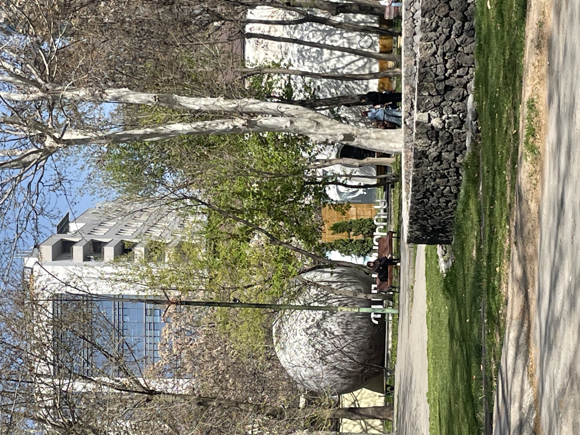 The image captures a sunny daytime scene in an urban park or public green space in Yerevan, Armenia. The perspective is from a slightly elevated position looking across a pathway and grassy areas towards buildings in the background.
The scene is dominated by numerous trees, some with light-colored, seemingly bare branches and intricate twig patterns, indicative of late winter or early spring, while others show signs of emerging green leaves. A paved pathway runs along the right side, bordering a strip of bright green grass. This path is separated from a slightly higher area by a low wall constructed from dark, irregular stones.
On a dark wooden park bench positioned near the path, one person wearing dark clothing is clearly visible, seated and appearing relaxed. Another, less distinct figure might be seated or standing near them, partially obscured by foliage.
A prominent feature in the middle ground is a large, spherical or egg-shaped object with a mottled grey, textured surface, possibly a public art sculpture, situated among the trees. A tall, slender dark pole stands vertically near this object.
In the background, through the trees, a modern, light-colored multi-story building with large glass windows and a distinctive stepped roofline is visible on the left. Other structures and indistinct figures are also discernible further in the background. The sky is clear and blue, suggesting fine weather. There is no discernible text in the image.
