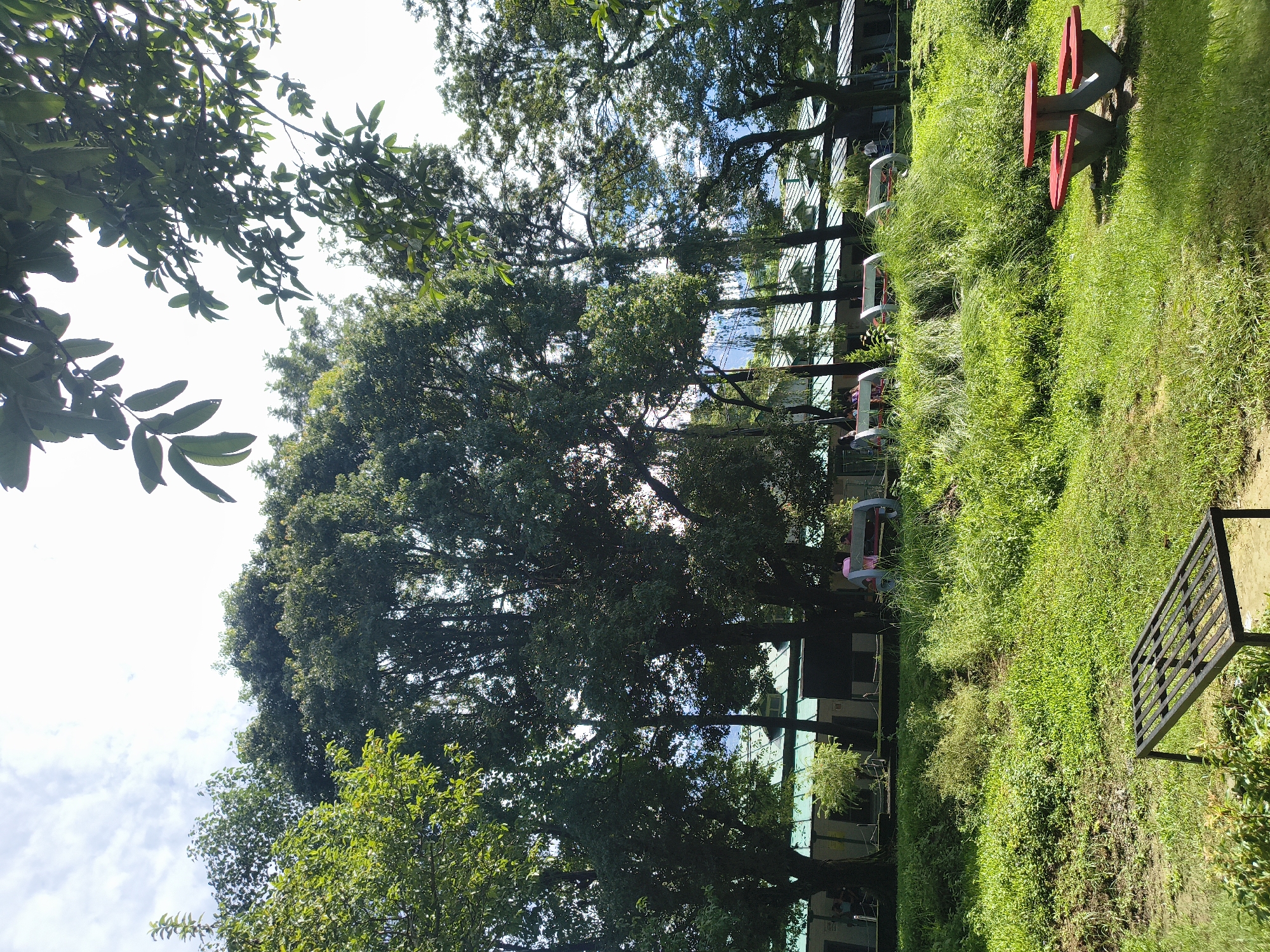 A wide shot captures a tranquil park scene in Dharamshala, India. In the foreground, a red and gray picnic table sits on a lush green lawn, adjacent to a metal bench. The middle ground is dominated by tall, leafy trees casting shadows on the grass. Beyond the trees, a long building with a green, corrugated roof is visible, with several benches lined up in front of it. People can be seen seated on some of these benches. The background features more trees and a cloudy sky.