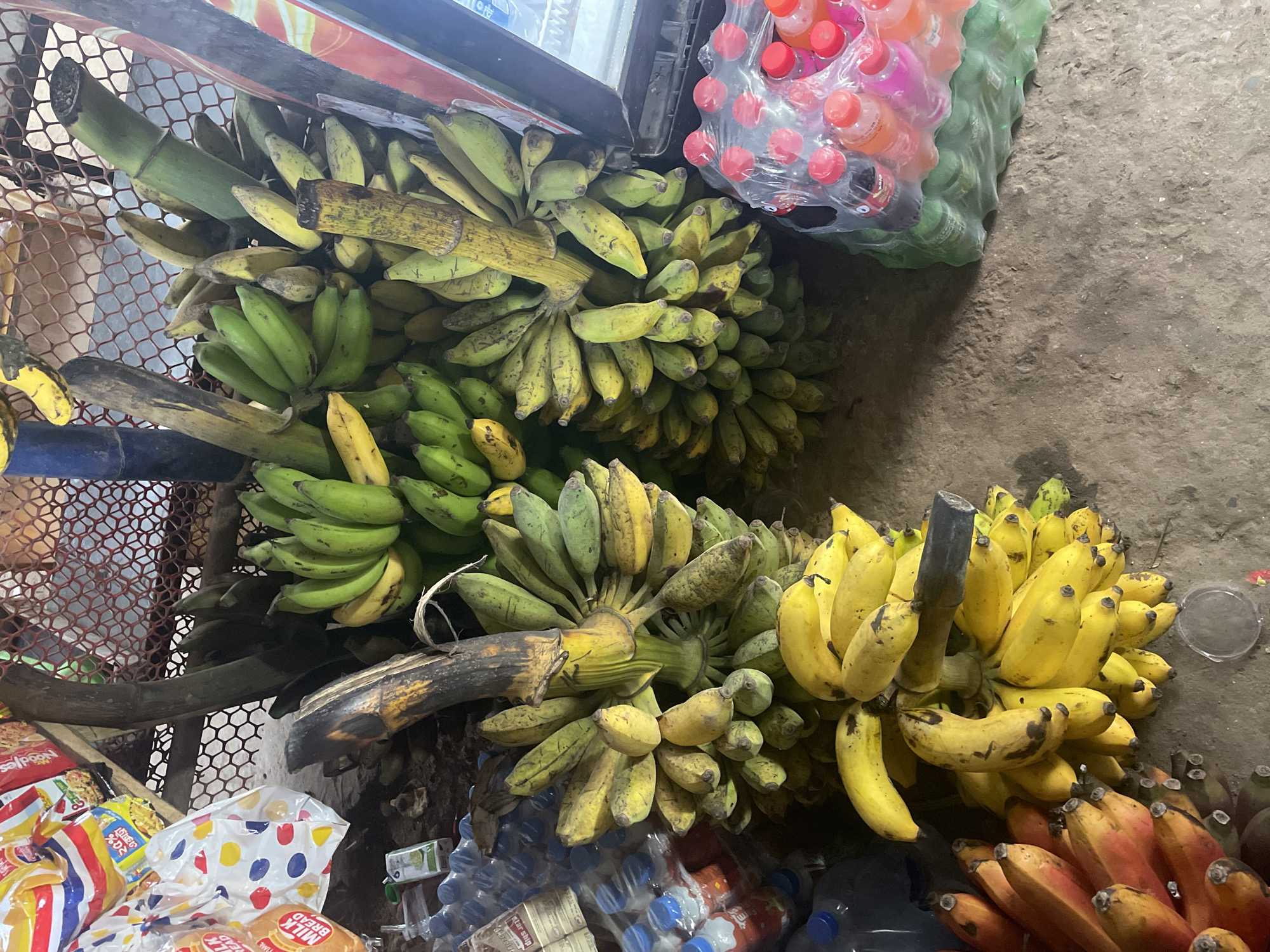 The image depicts a roadside stall in Purbachal, Bangladesh, laden with bananas of varying ripeness: green, yellow-green with brown spots, and bright yellow, along with red bananas. These bananas are bunched together. Adjacent to the bananas are a bag of assorted beverages in plastic bottles, snack foods, and bottled water. The stall appears to be constructed from metal mesh and other materials. The ground is uneven and concrete.