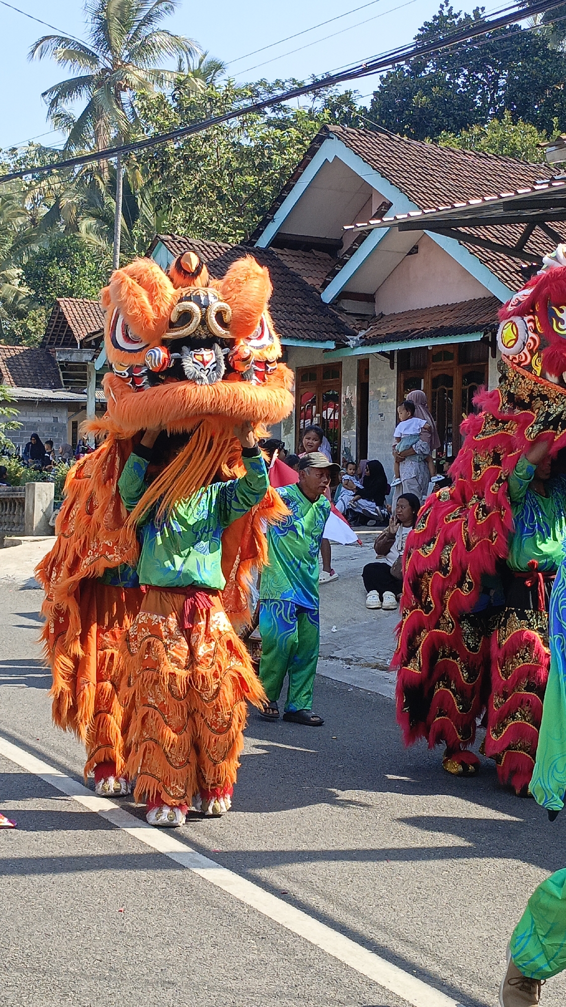 In Krajan Lor, Indonesia, a vibrant parade unfolds under a clear sky. Two elaborate lion costumes, one predominantly orange and the other red and black, take center stage. The orange lion, held by individuals in green shirts and patterned pants, is detailed with faux fur and ornate facial features. The red and black lion, also adorned with vibrant faux fur, stands to its right. A man in a green shirt and cap stands near the orange lion, observing the scene. In the background, several people are gathered, some seated and others standing, watching the procession. Buildings with tiled roofs line the street, and palm trees and lush green foliage frame the scene. The street itself is asphalt, marked with a white line. The atmosphere suggests a cultural celebration or festival.