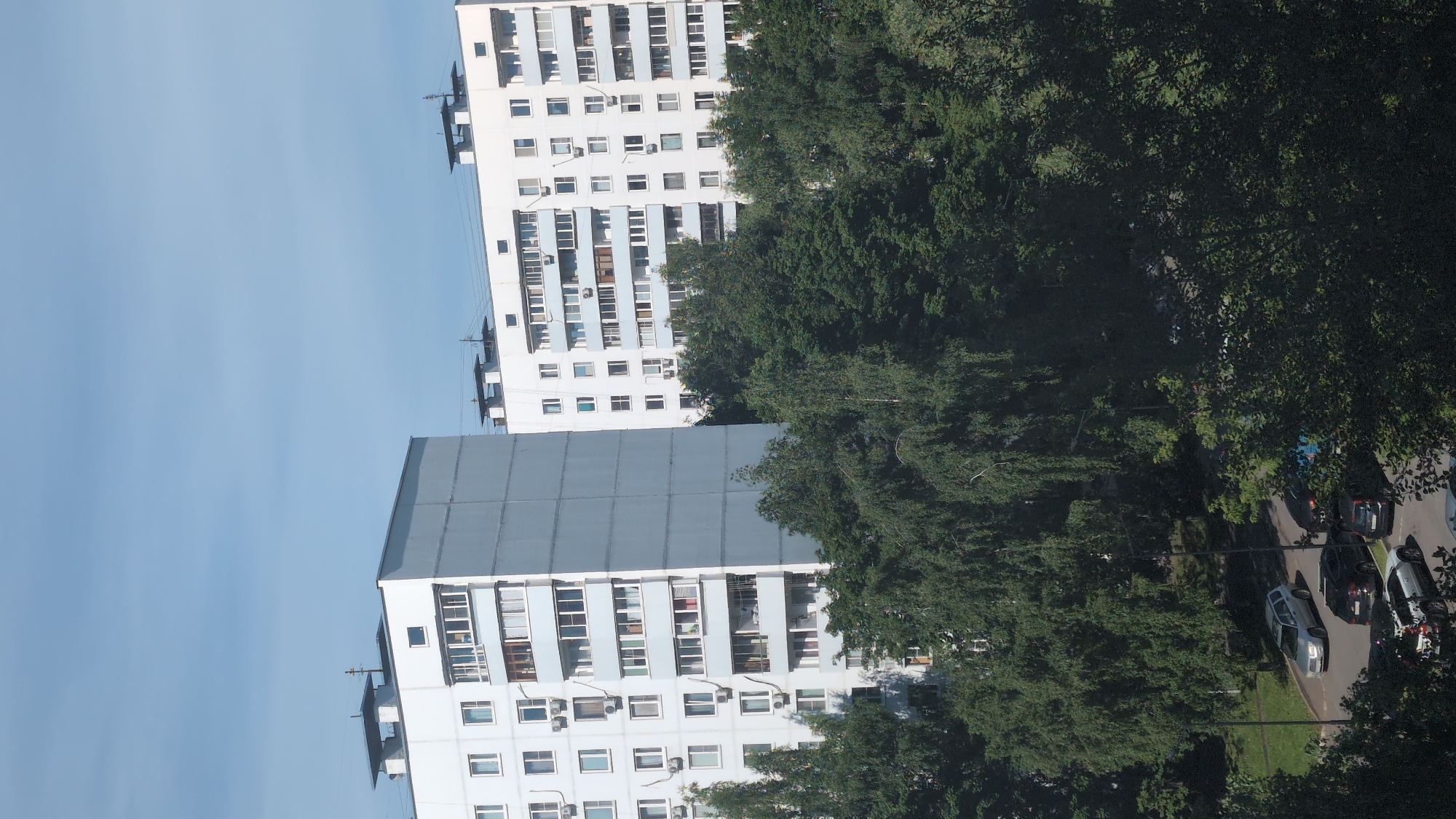 The image shows a view of residential apartment buildings in Moscow, Russia, on a clear day. Two large, multi-story white apartment buildings dominate the upper half of the frame. The building on the left is closer and wider, with a complex facade featuring many windows and balconies. The building on the right is slightly further away and appears to be of similar construction. Between and in front of the buildings, a dense canopy of lush green trees obscures the lower portion of the structures and extends into the foreground. Some of the trees have long, drooping branches. In the lower part of the image, visible through a break in the foliage, a street or parking area is present with several cars parked. These cars are varied in color and model, including a silver SUV, a dark-colored SUV, and other sedans. The sky above is a pale blue with some wispy clouds. The scene depicts a typical urban residential landscape in Moscow, characterized by large apartment blocks and abundant greenery.