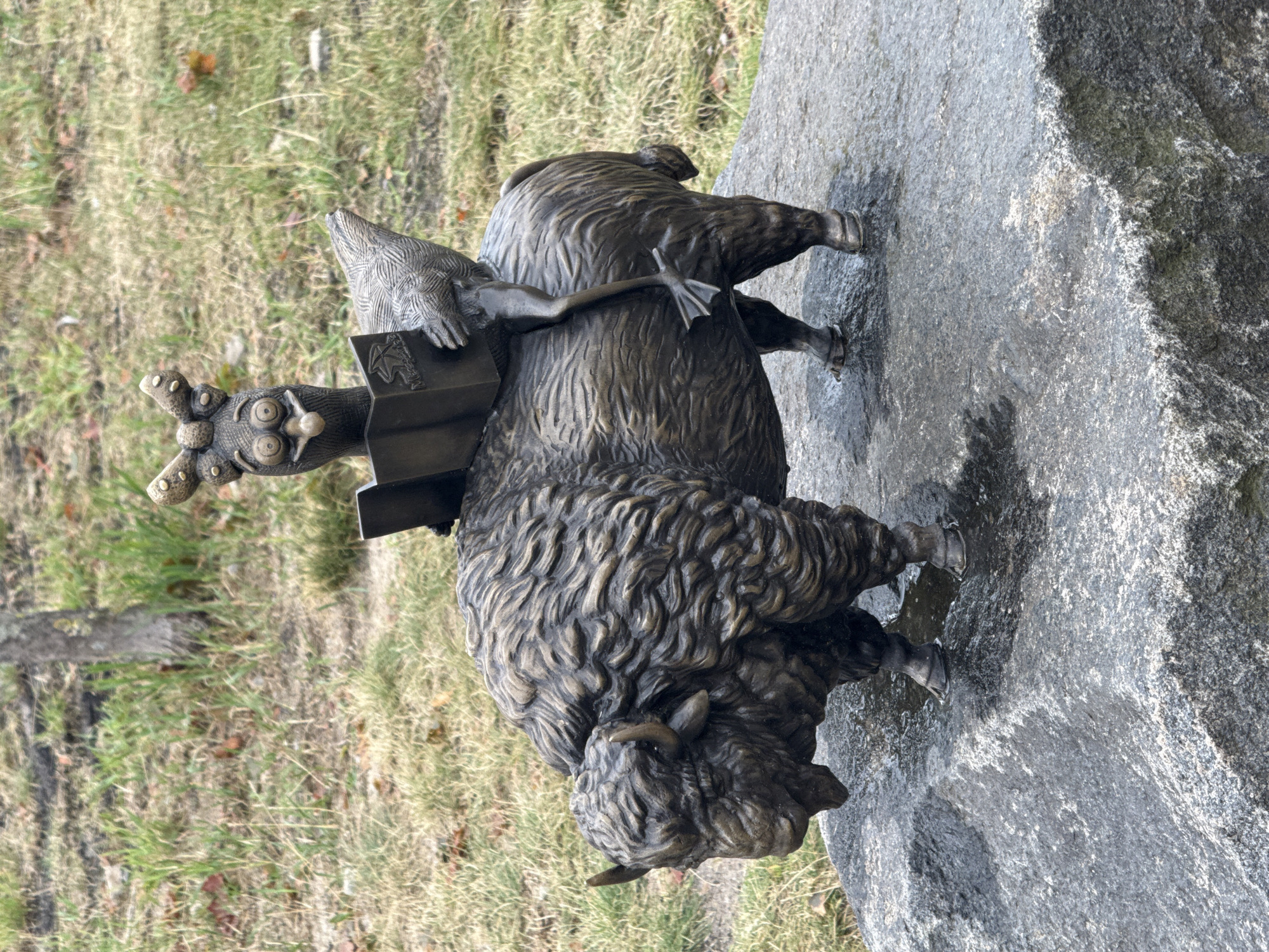 The bronze sculpture depicts a whimsical scene of a bird reading a book while riding on the back of a bison. The bird, with its wide, surprised eyes and feathered headpiece, is perched on the bison's hump, holding the open book with its wings. The bison, with its shaggy mane and sturdy build, stands stoically on a wet, grey rock. The sculpture is located outdoors, with a grassy area and a tree visible in the background. This sculpture is part of the "Promenade of Stars" in Międzyzdroje, Poland, an attraction that features sculptures dedicated to various celebrities and fictional characters.