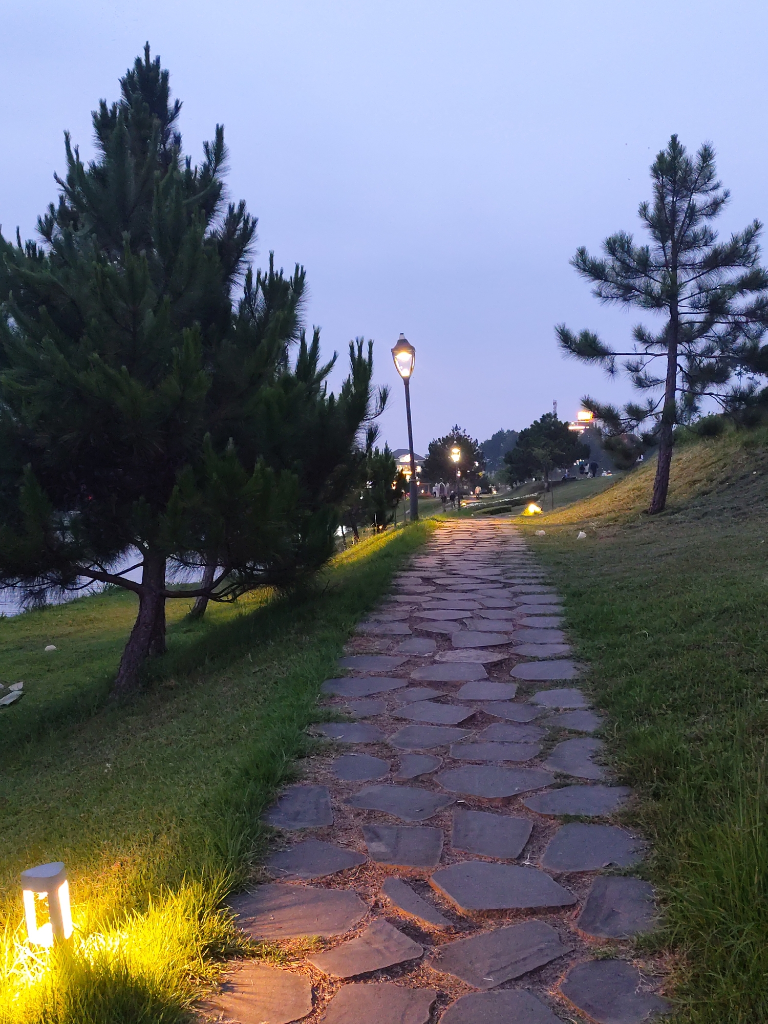 This media file captures a serene evening scene in a park or garden in Da Lat, Vietnam, at dusk. A winding pathway, constructed from irregularly shaped stone slabs, dominates the foreground and recedes into the distance. It is flanked by lush green grass on both sides, with a gentle grassy slope rising on the right.
Prominent evergreen trees, resembling pines, punctuate the landscape. A large, full tree stands on the left, partially obscuring a body of water. Another, slender tree with a less dense canopy is visible on the right.
The path and surrounding areas are illuminated by various light sources. In the foreground on the left, a modern, rectangular ground light emits a bright, warm yellow glow onto the grass. Further along the path, several traditional-style streetlights cast soft, golden light, highlighting sections of the path and the foliage. In the background, additional lights from distant buildings or park features twinkle against the twilight sky, which is a soft blend of light blue and purple.
Small, indistinct figures of people can be seen strolling leisurely along the path in the mid-ground, suggesting a peaceful evening walk or recreational activity. The atmosphere conveyed is tranquil and pleasant, enhanced by the warm artificial lighting against the fading natural light. No visible text is present in the image.
